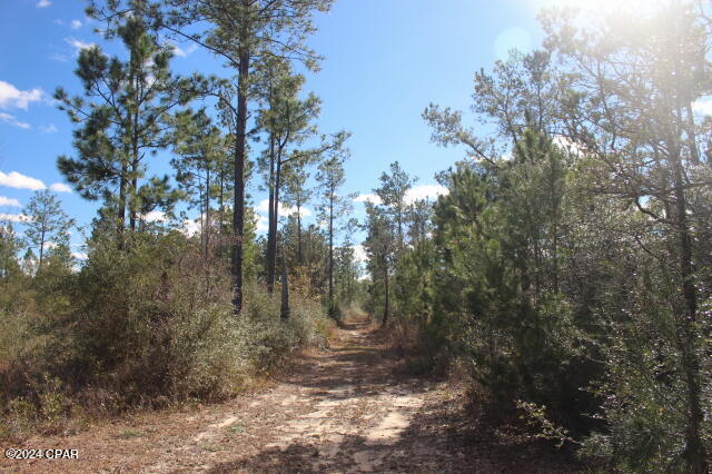 Image 8 For 5015 County Road 274