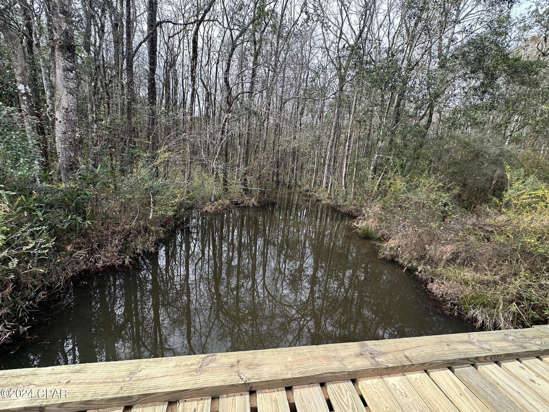 Photo of Tract 6301 Beall Bonifay FL 32425