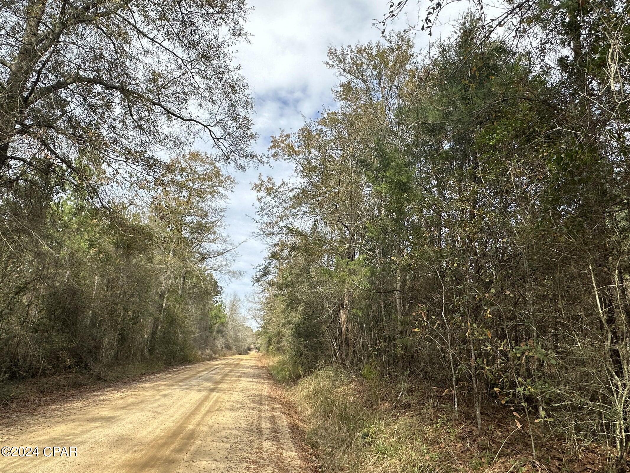 Photo of Tract 6301 Love Bonifay FL 32425