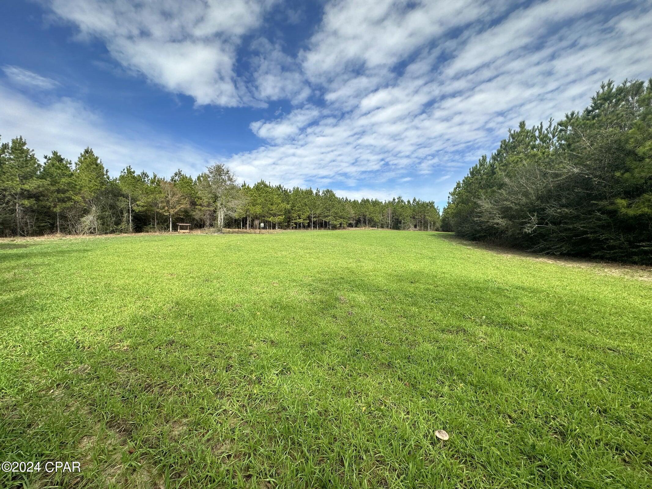 Photo of Tract 6301 Beall Bonifay FL 32425