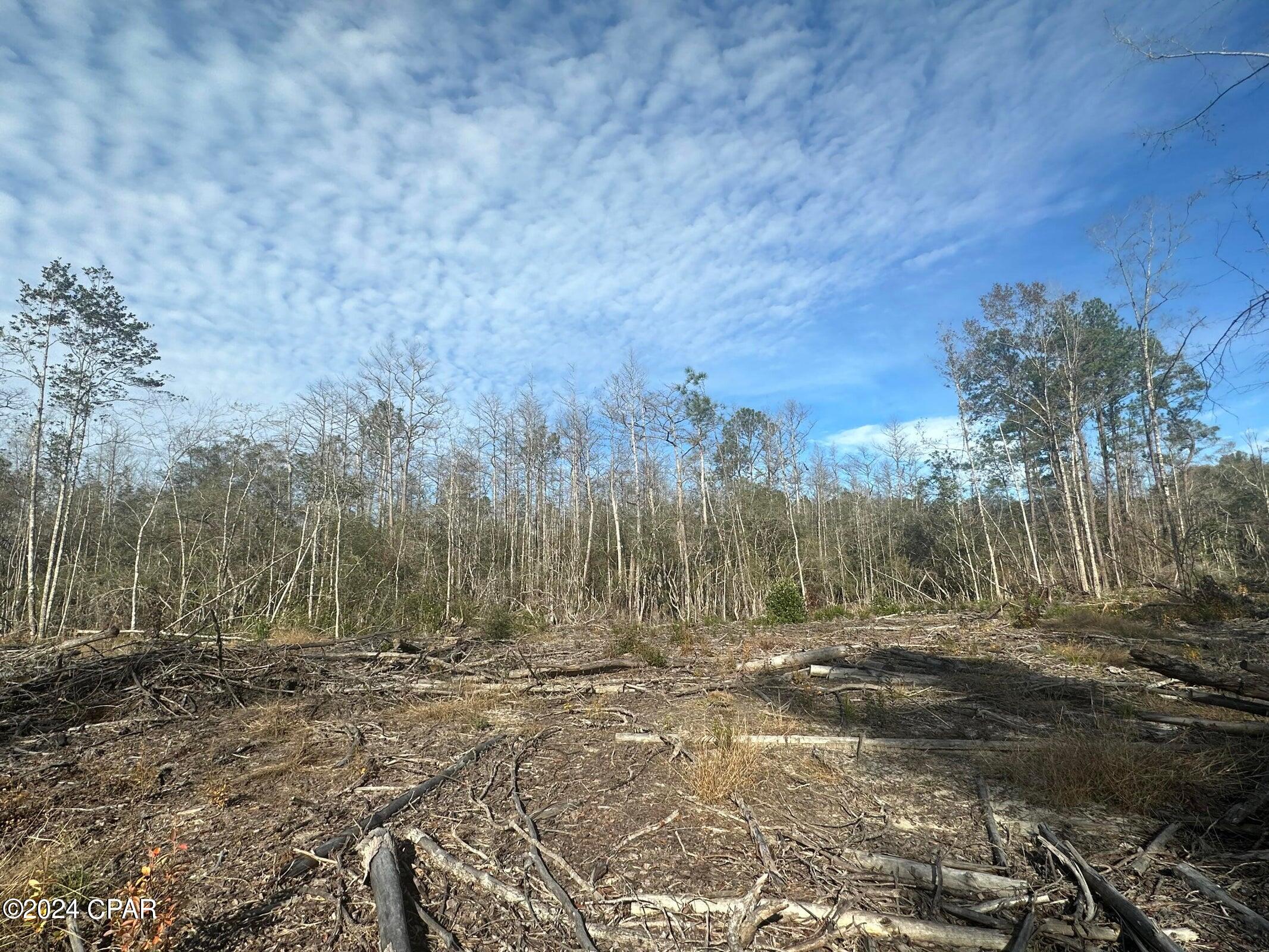 Tract 6331 Sellers Road, Bonifay, Florida image 1