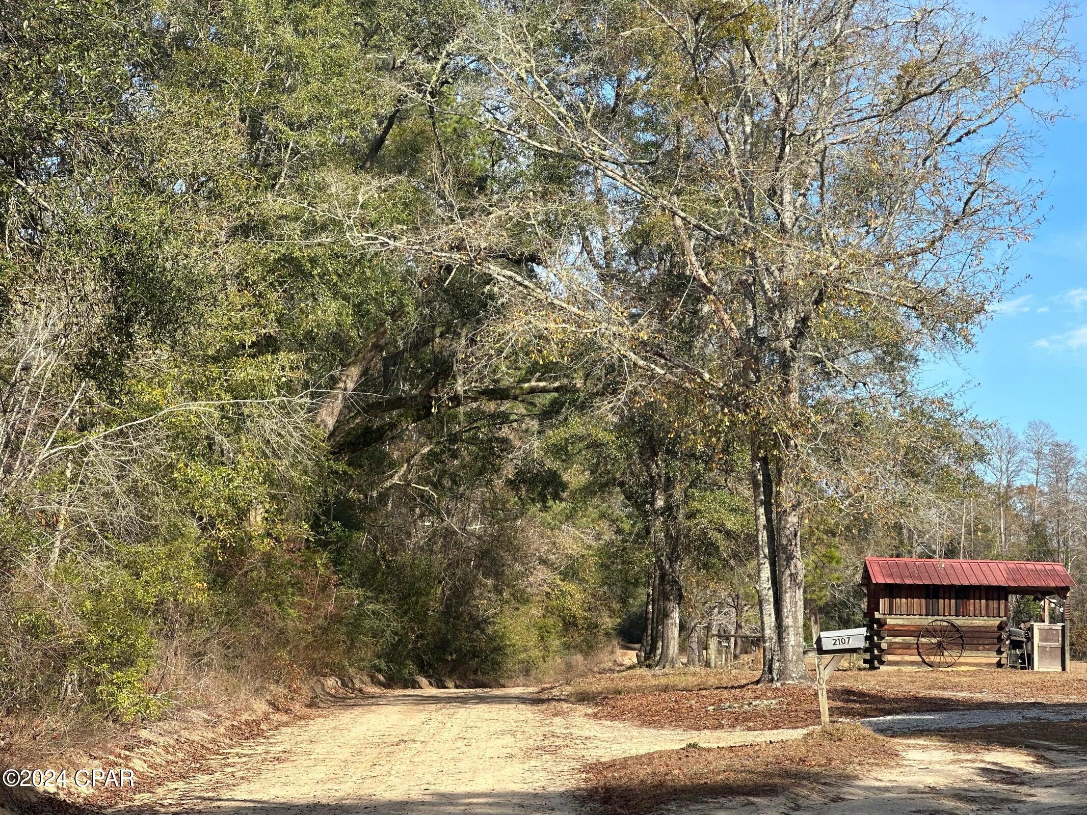 Tract 6331 Sellers Road, Bonifay, Florida image 3