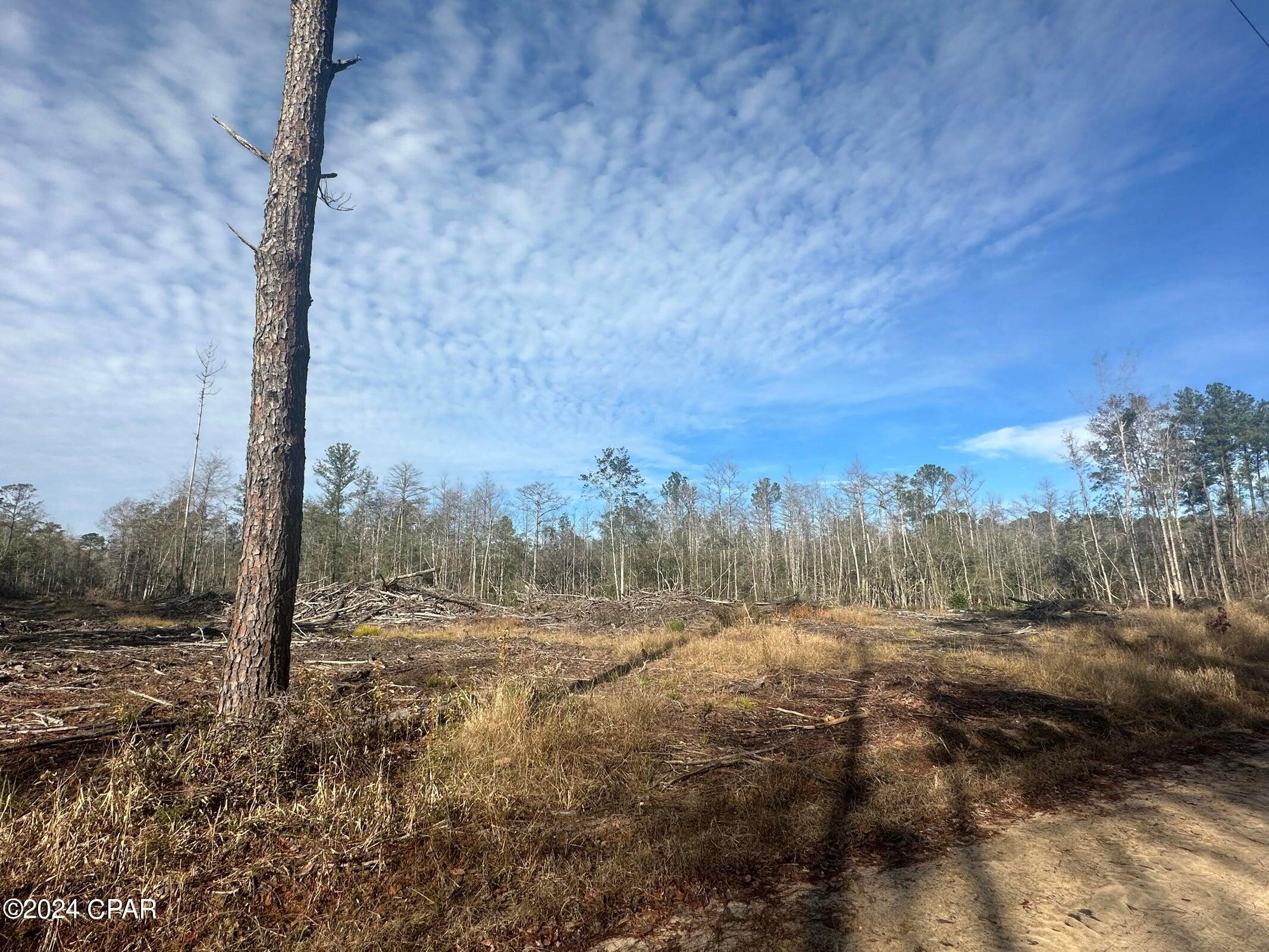 Tract 6331 Sellers Road, Bonifay, Florida image 4