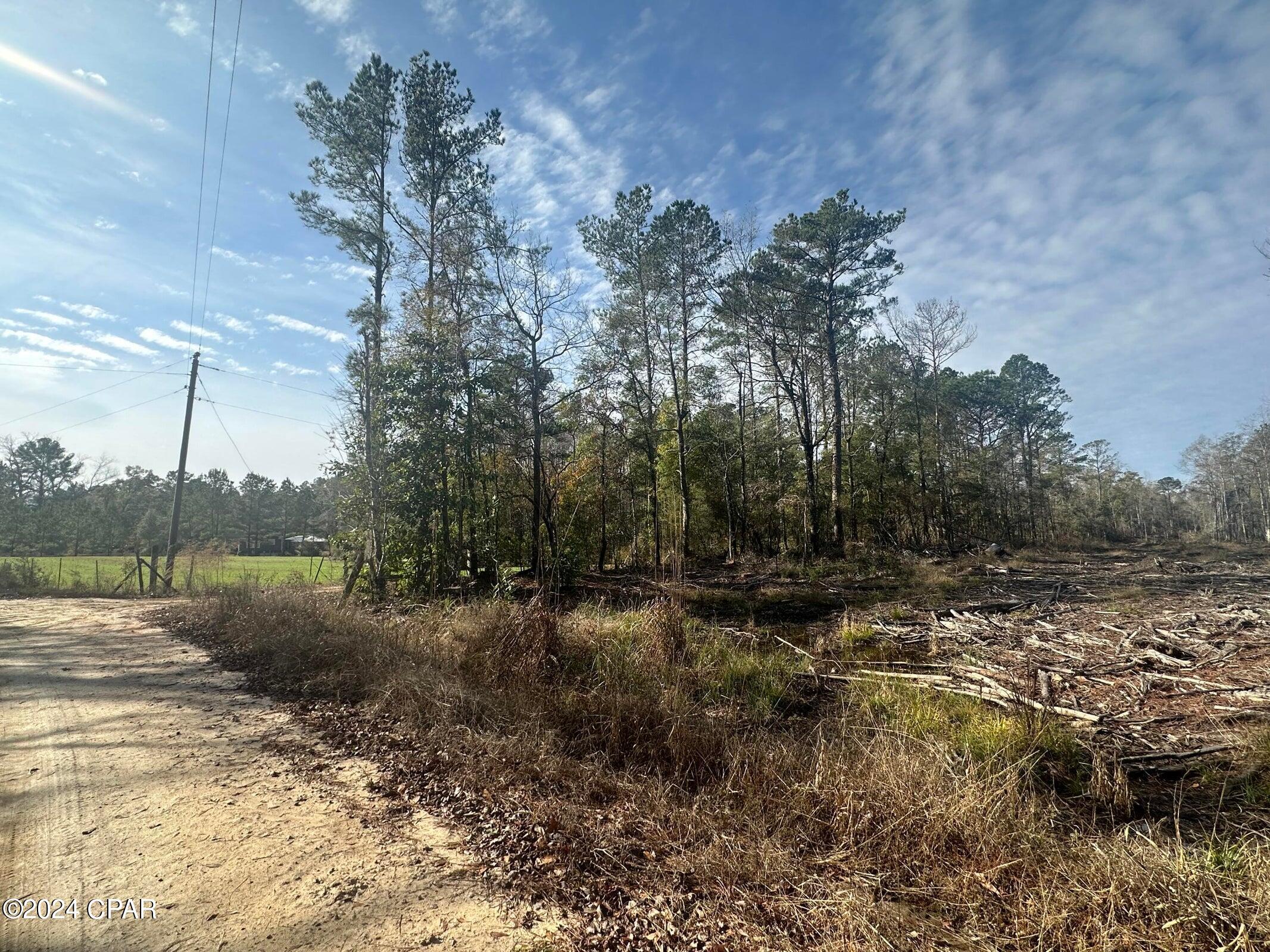 Tract 6331 Sellers Road, Bonifay, Florida image 5
