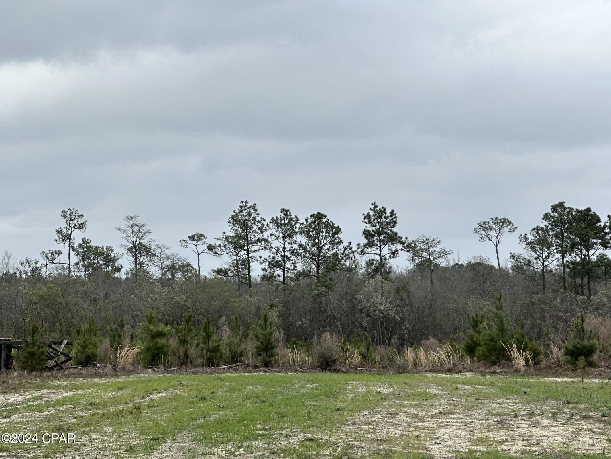 Photo of Tract 6336 Sand Path Bonifay FL 32425