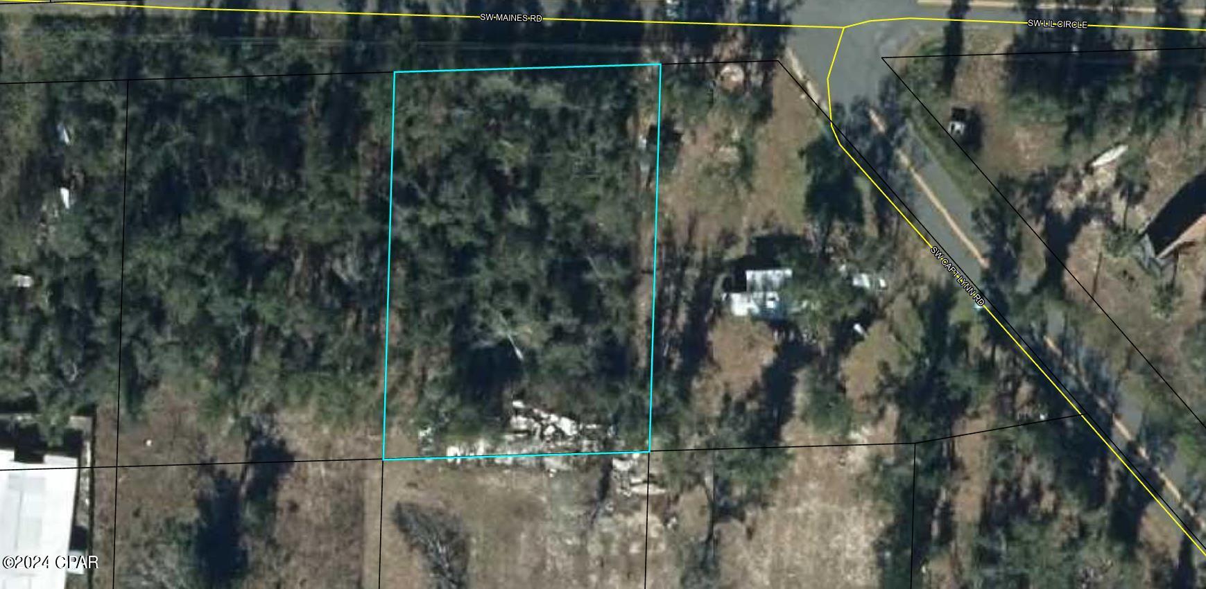 Listing Details for Tbd Maines Road, Kinard, FL 32449