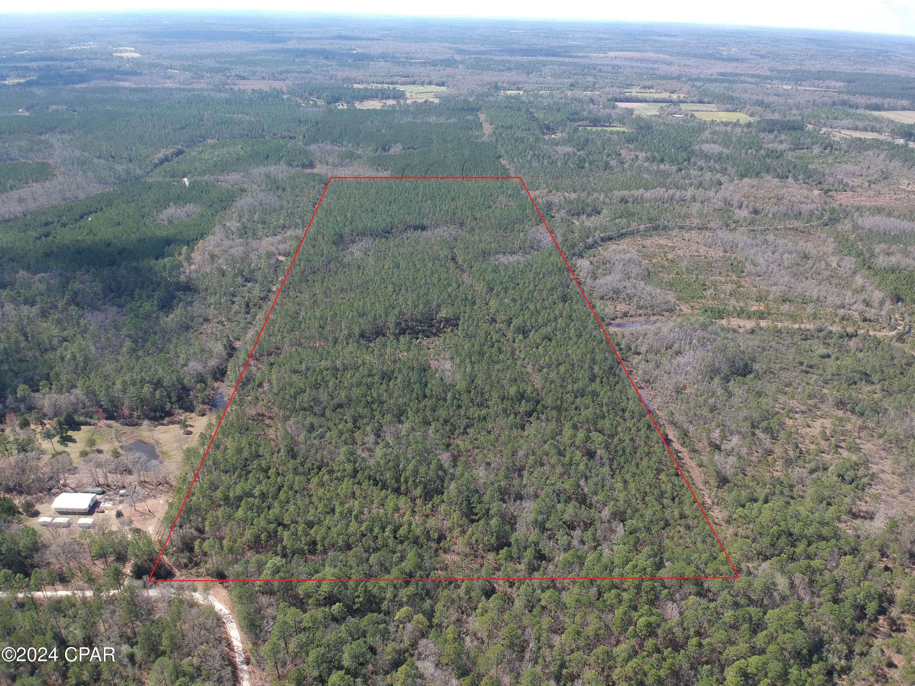 Image 1 For 60 Acres Jw Miller Rd