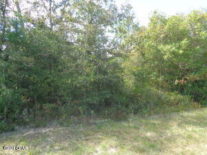 Image 1 For Lot 7&8 Lake Mckenzie Boulevard