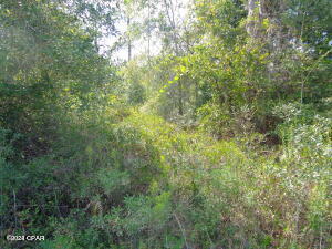 Image 3 For Lot 7&8 Lake Mckenzie Boulevard