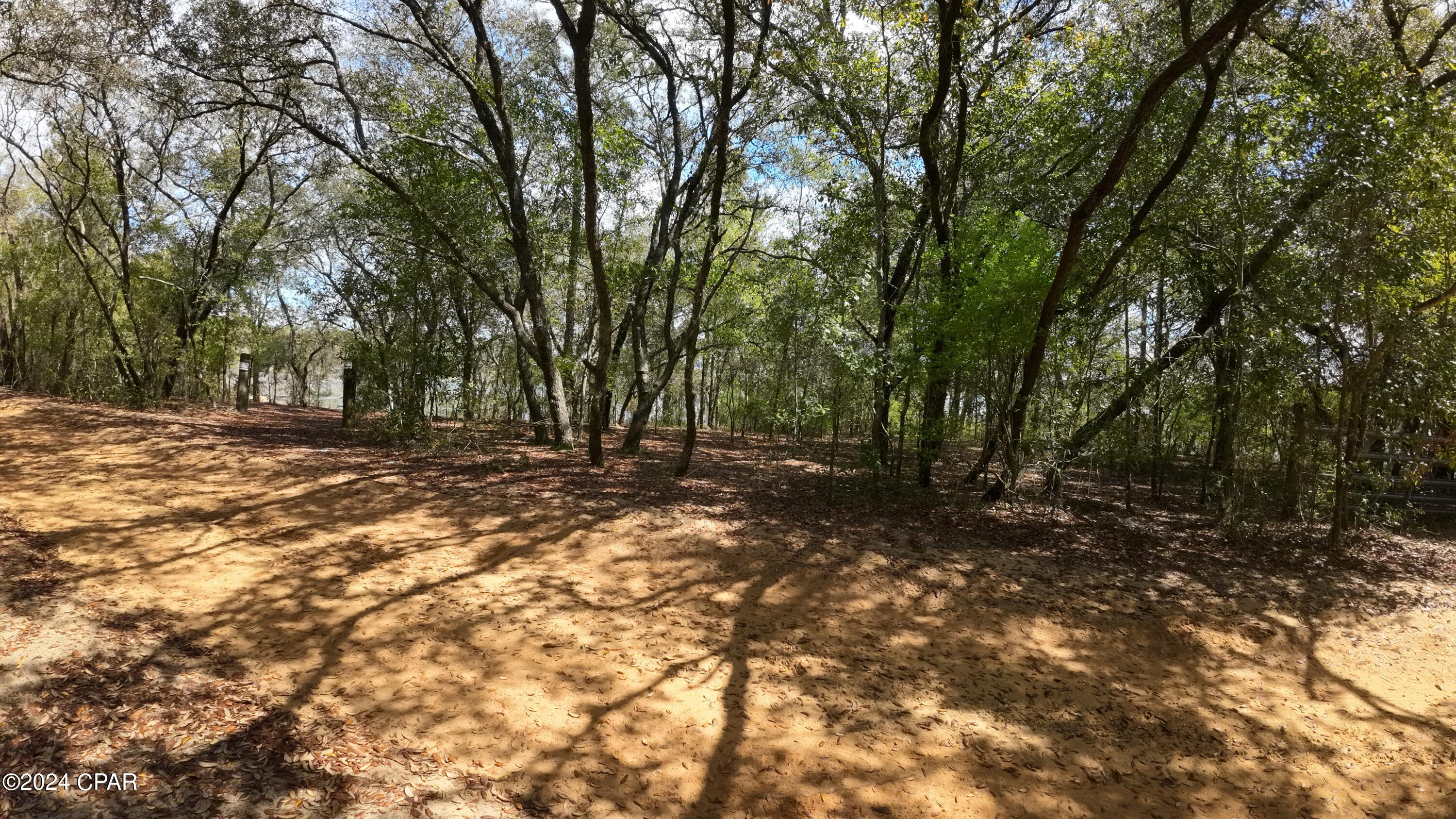 Image 3 For Lot 67, 68 Woodymarion Drive