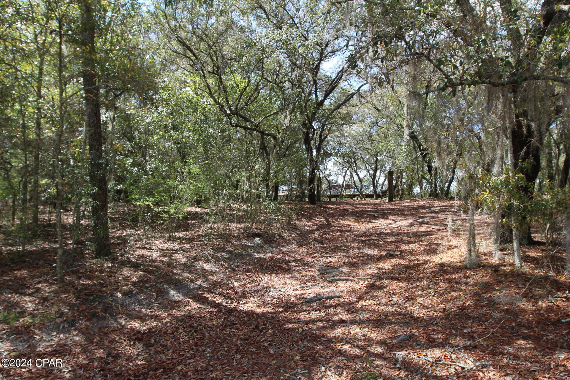 Image 4 For Lot 67, 68 Woodymarion Drive