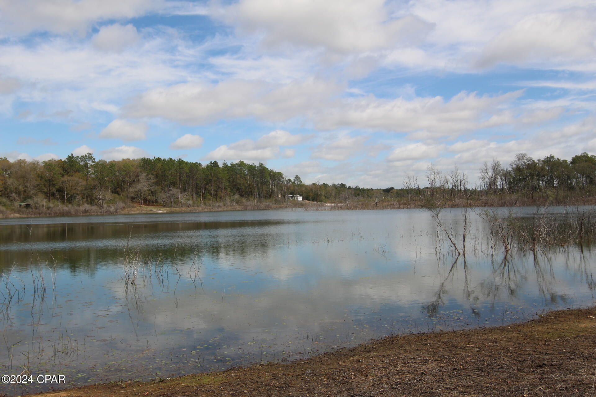 Image 5 For Lot 67, 68 Woodymarion Drive