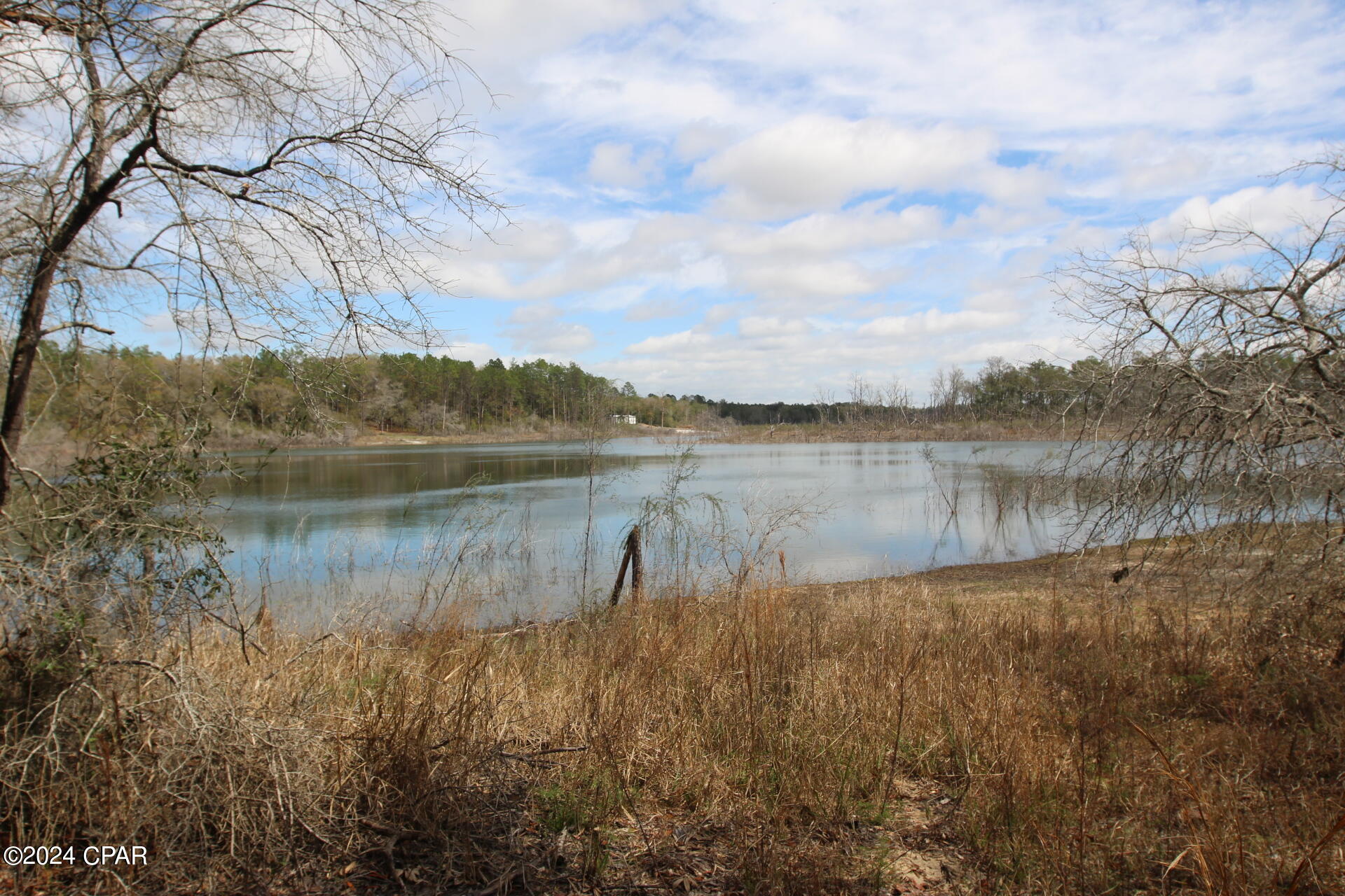 Image 7 For Lot 67, 68 Woodymarion Drive