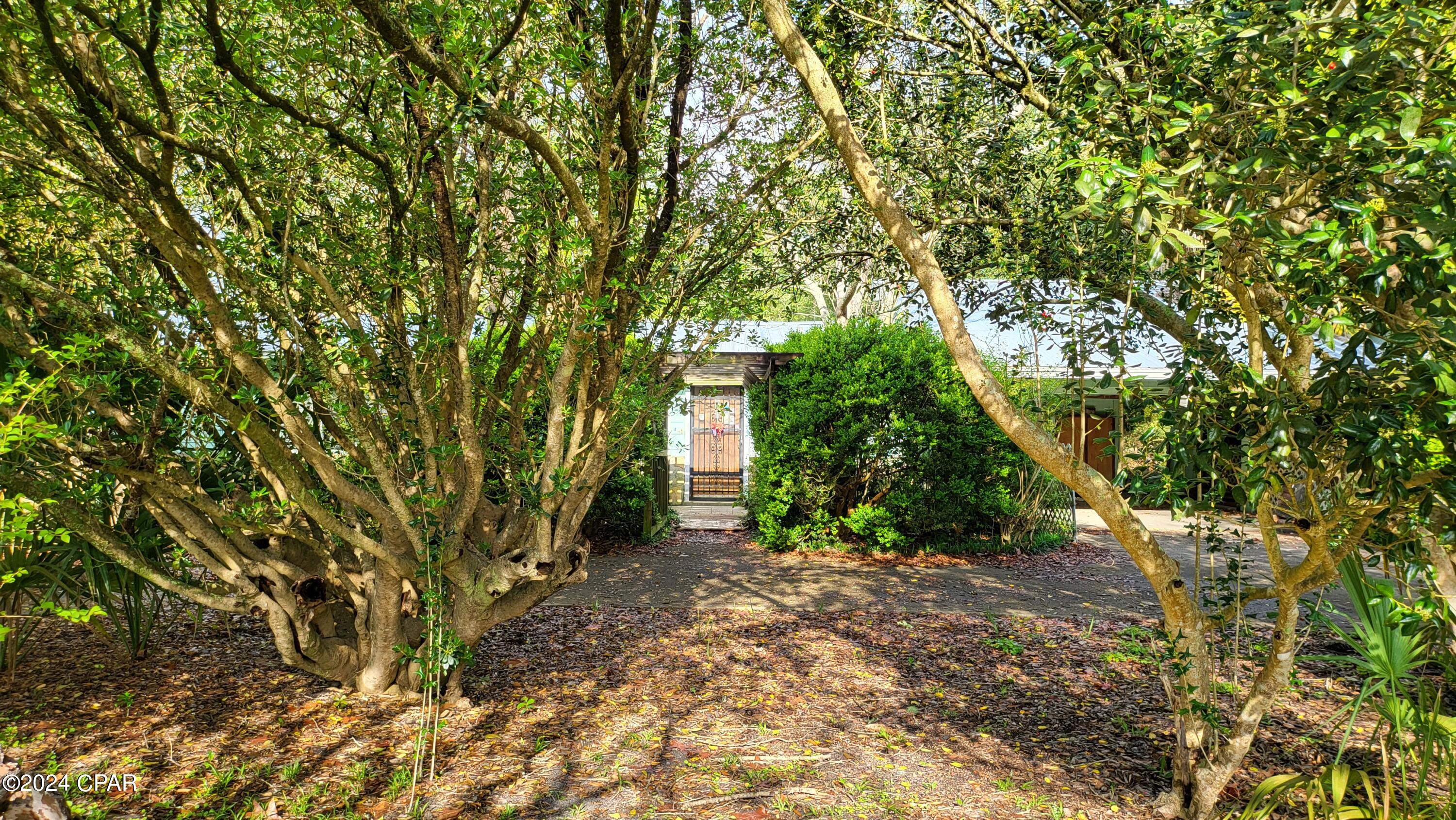 Image 45 For 119 Pearl Avenue
