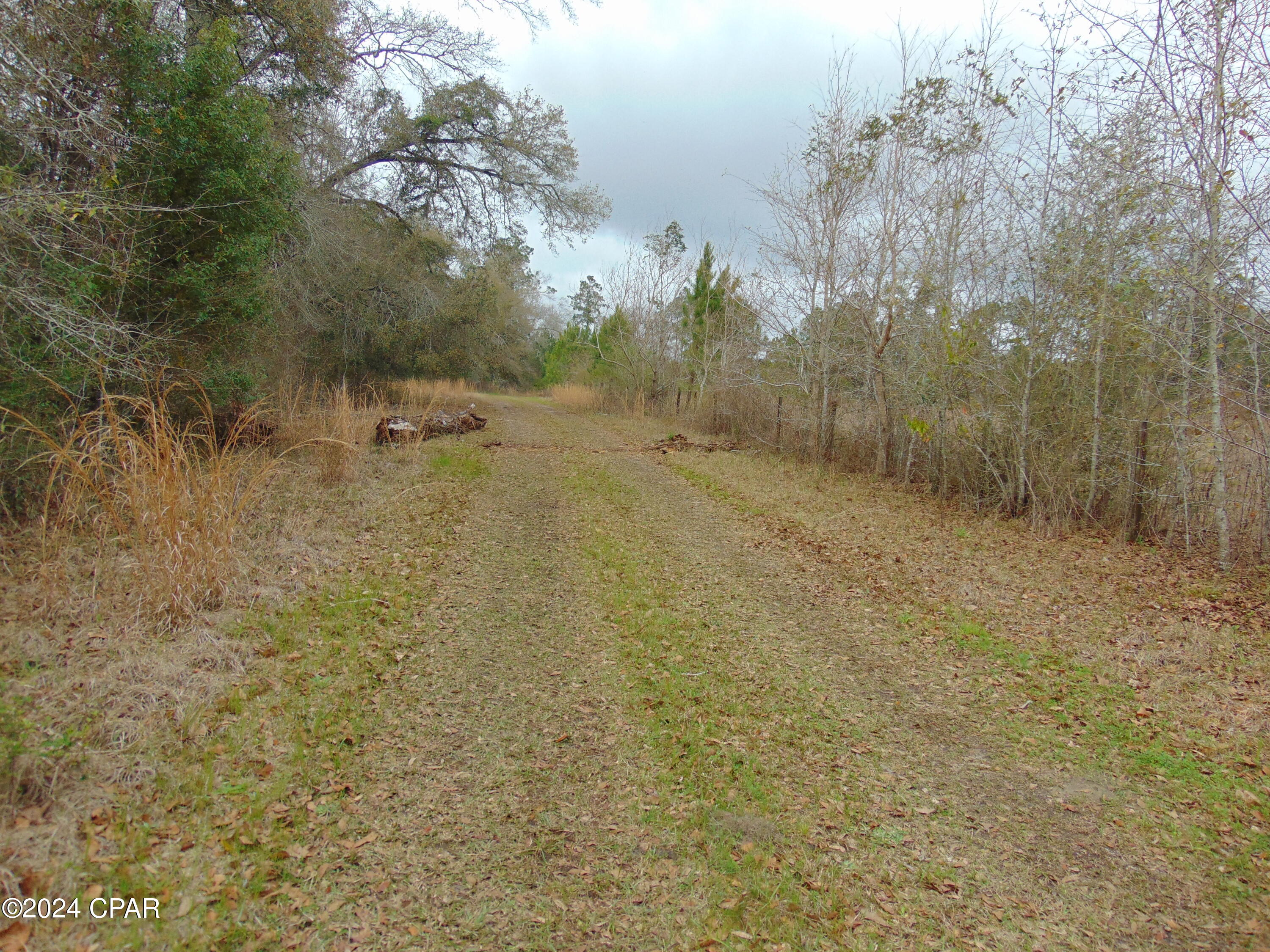 Image 23 For 2045 Highway 90