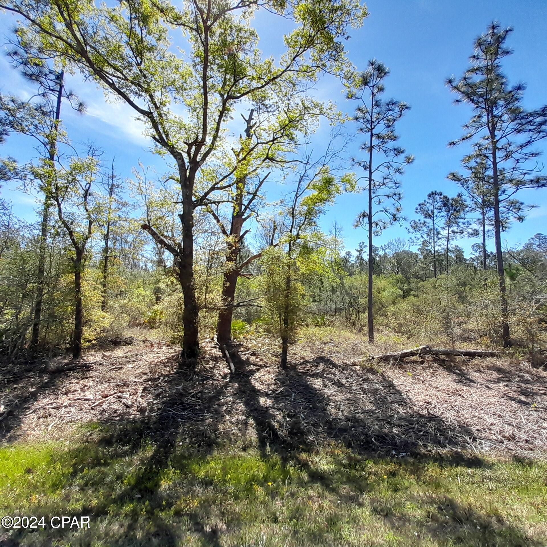 Photo of XXX Barksdale Fountain FL 32438