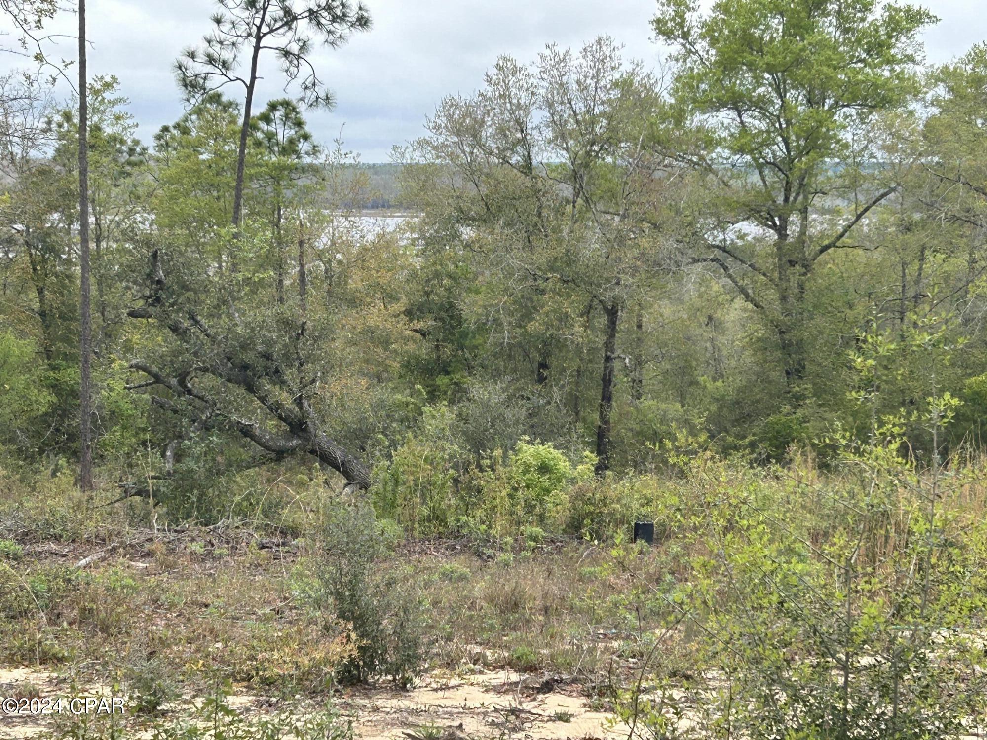 Photo of 980 Landing Chipley FL 32428