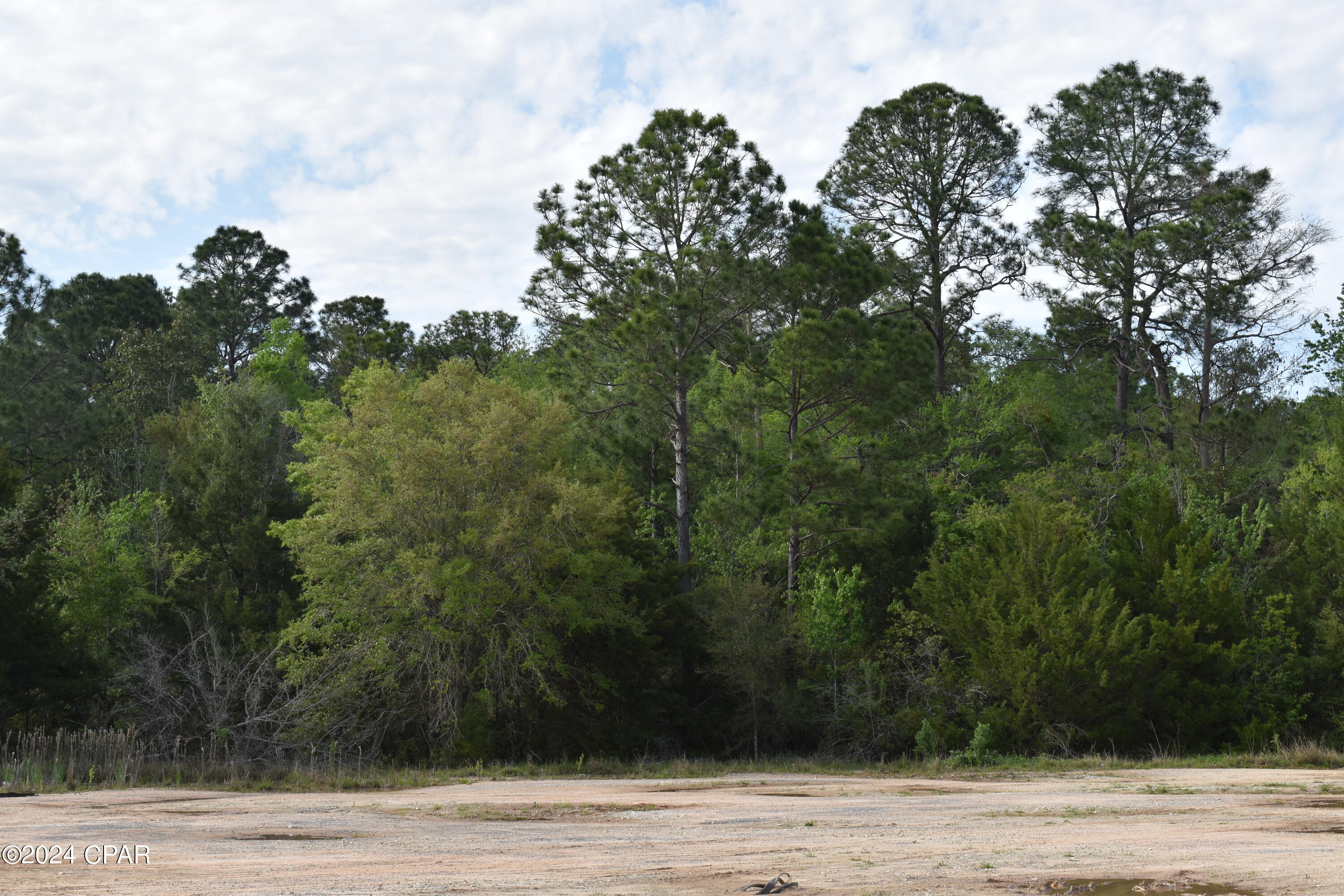 Image 8 For 000 Nearing Hills Drive