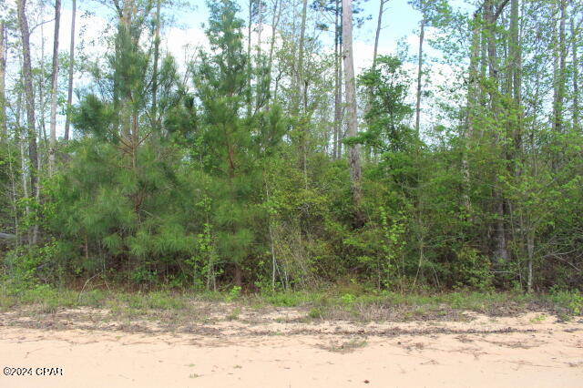 Photo of 0 Grand Quiviera Alford FL 32420