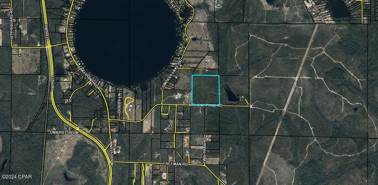 Listing Details for 40 Acres Noland Pond Road, Alford, FL 32420