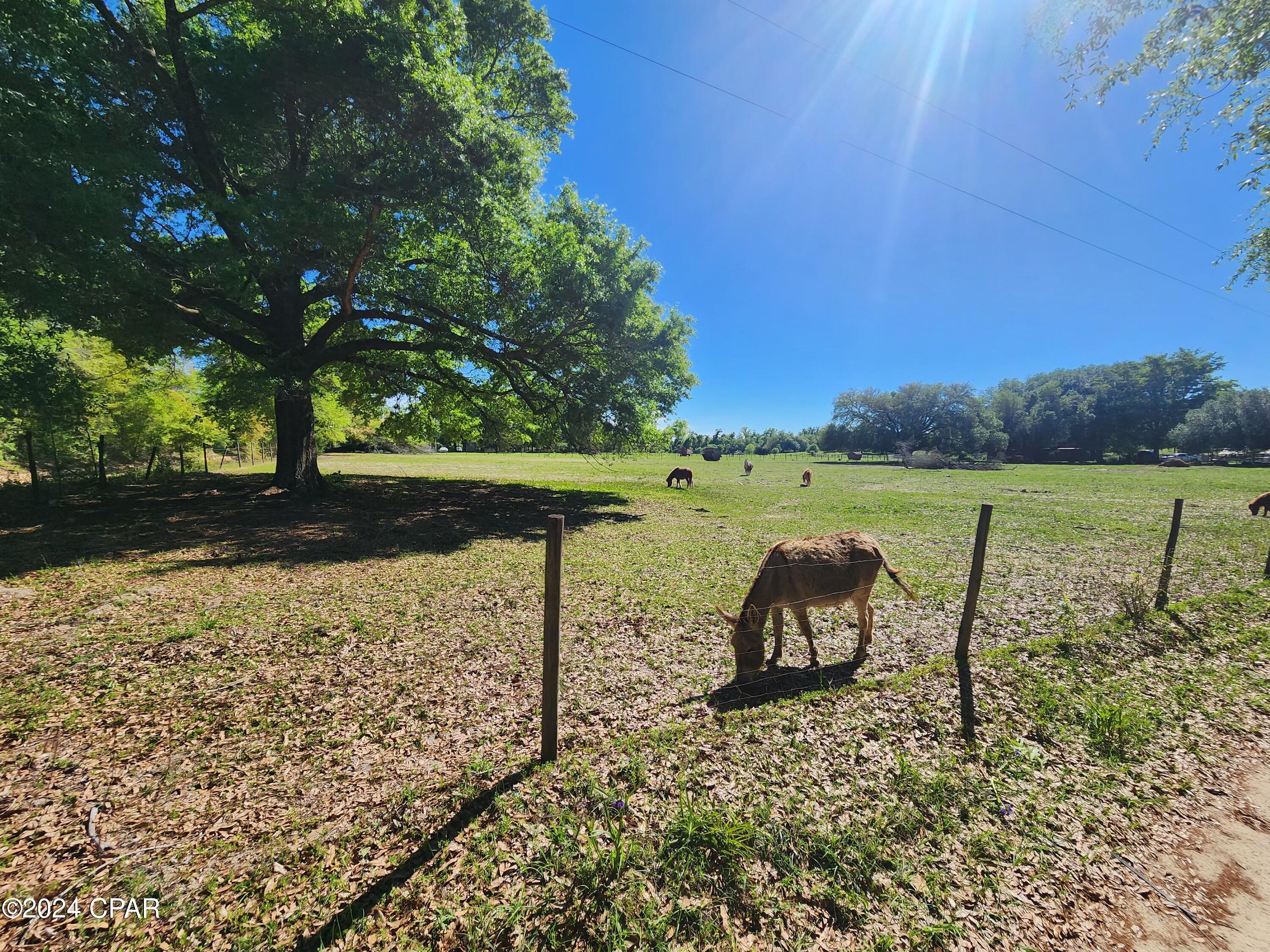 Image 4 For 4539 Bartow Road