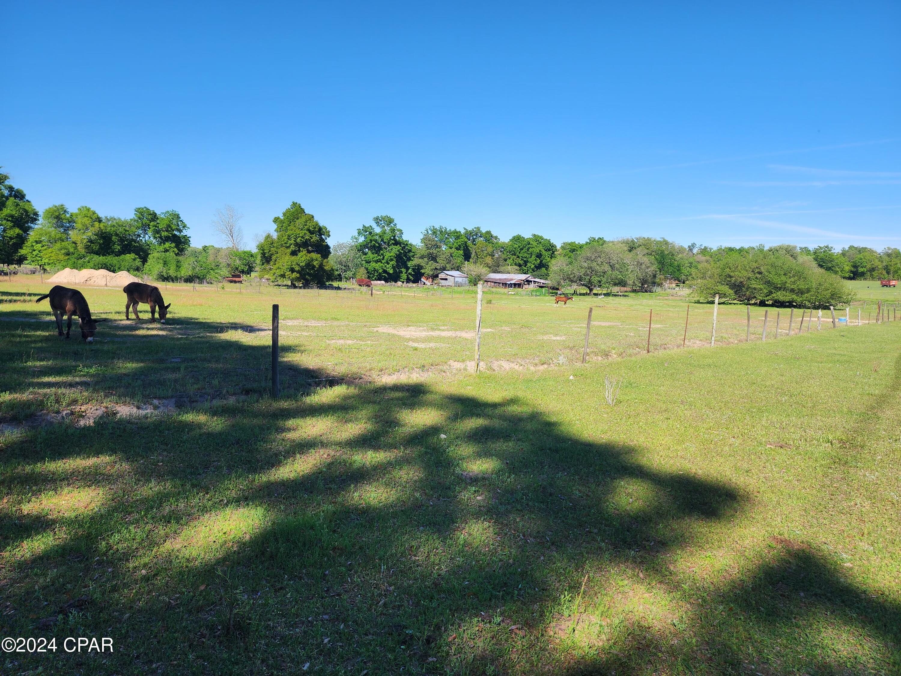 Image 50 For 4539 Bartow Road