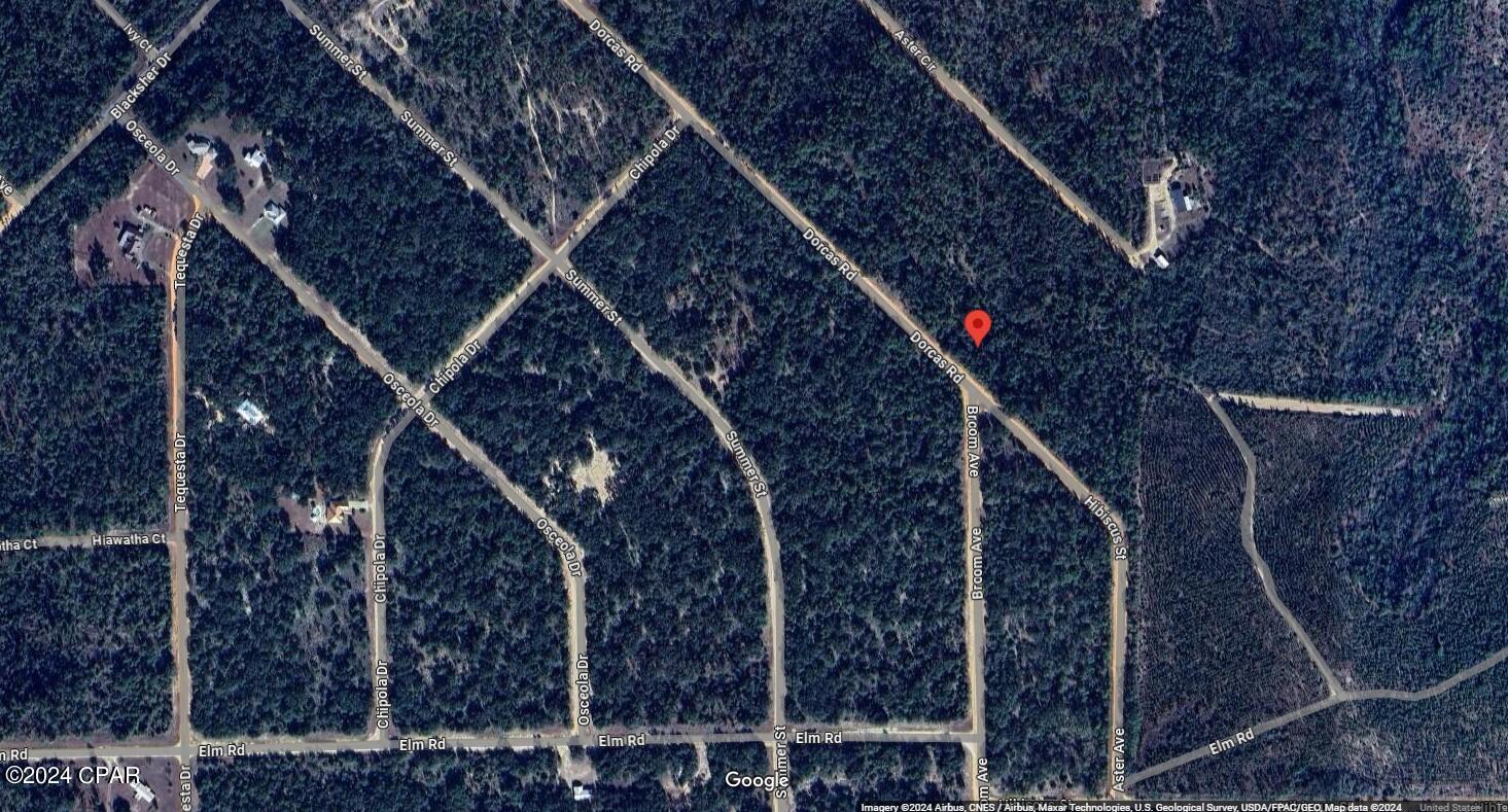 Photo of Lot 42 Dorcas Marianna FL 32448