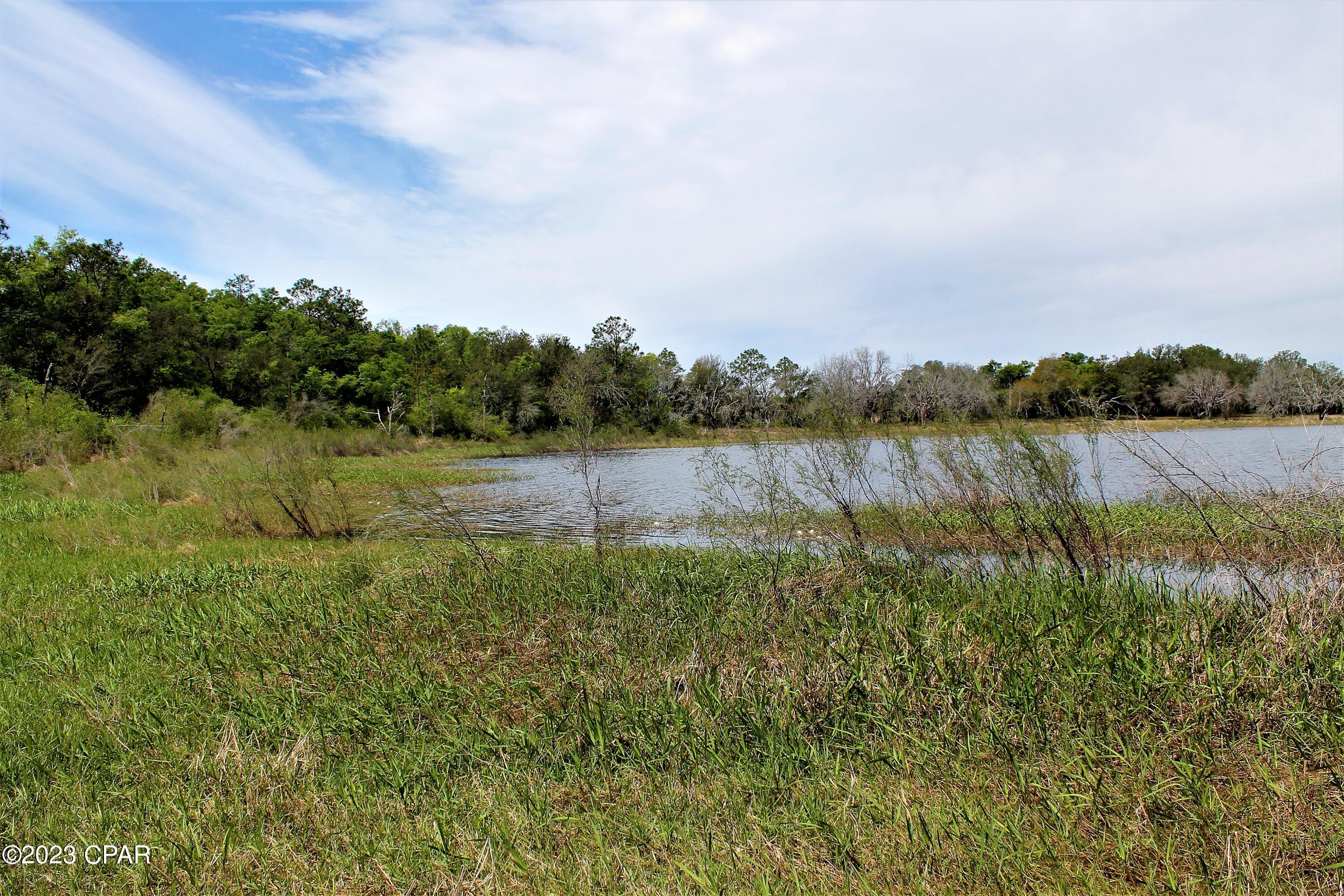 Photo of 0-D Little Blue Southport FL 32409