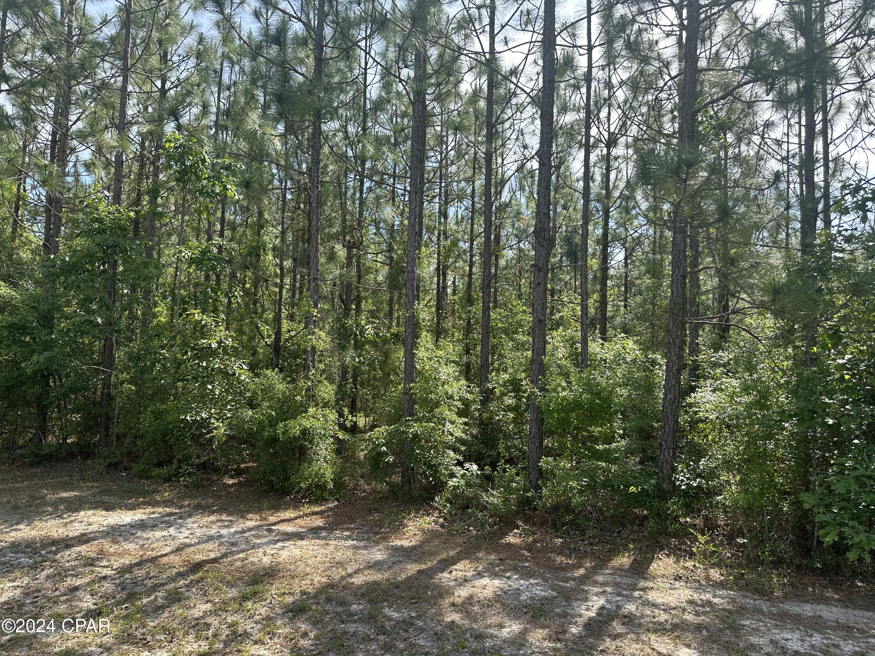 Photo of 00 Silverwood Greenwood FL 32443