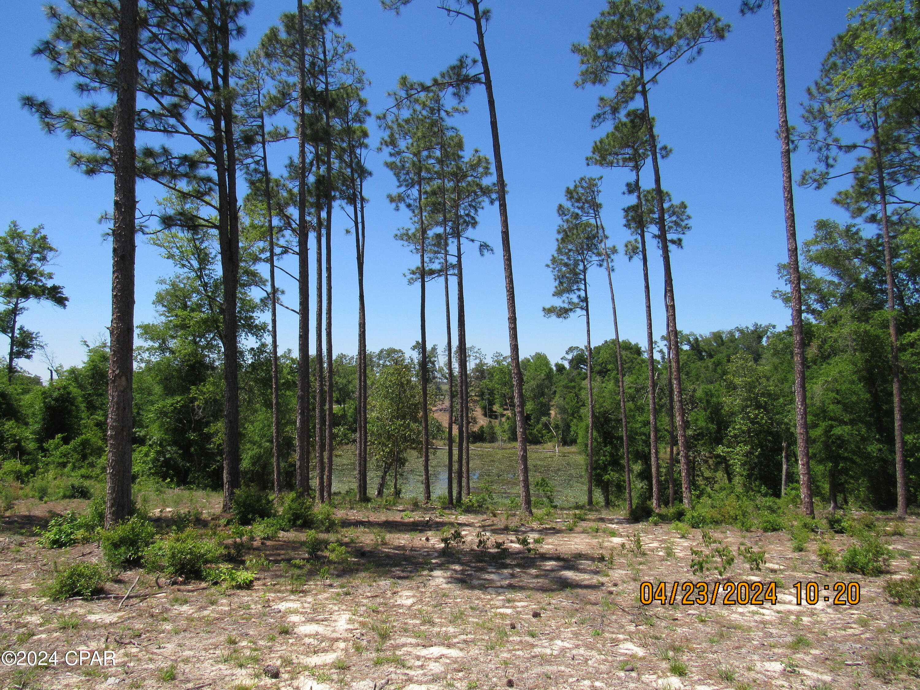 TBD Vancouver Drive, Alford, Florida image 10