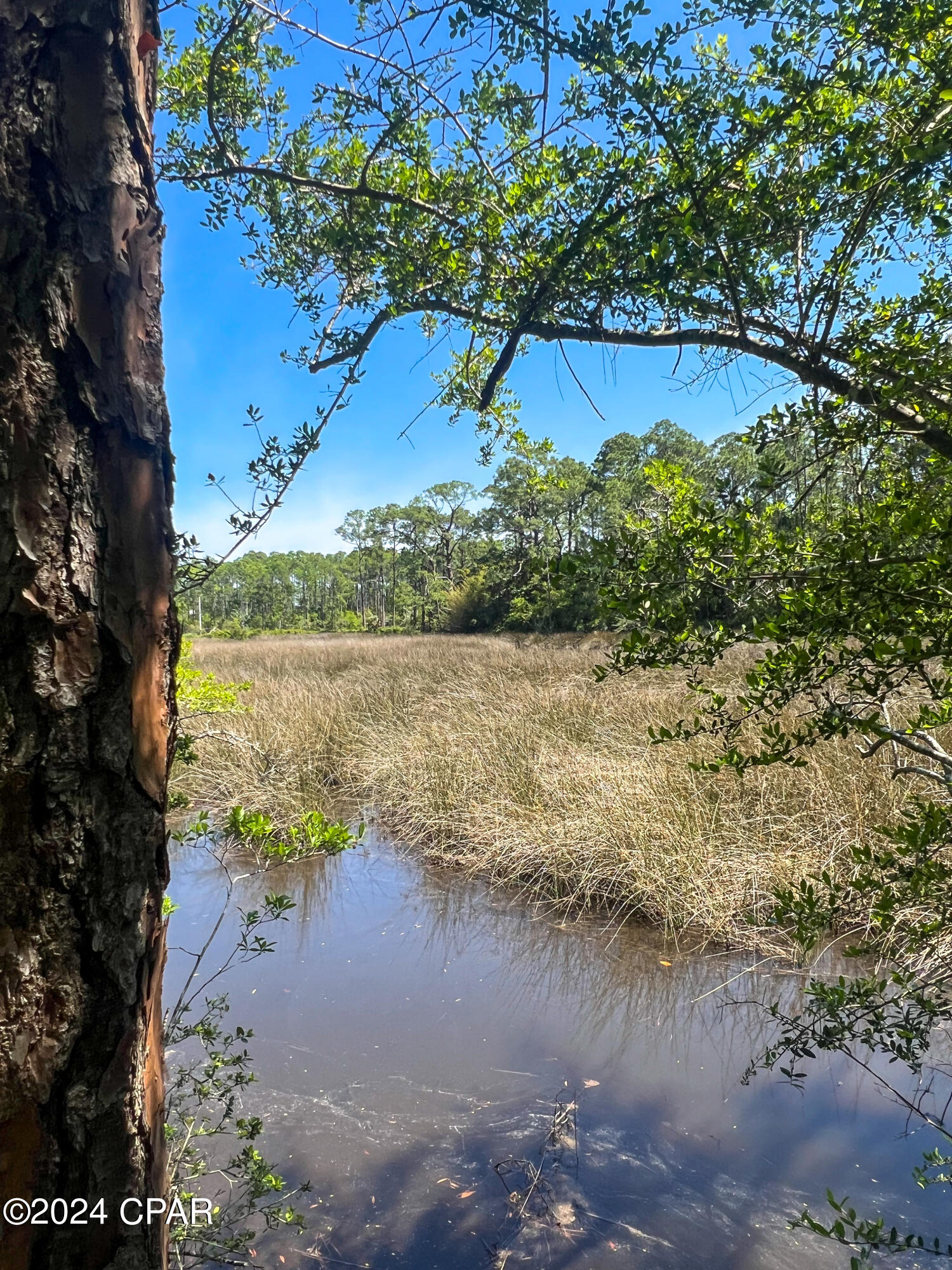 TBD Harley Rd, Santa Rosa Beach, Florida image 17