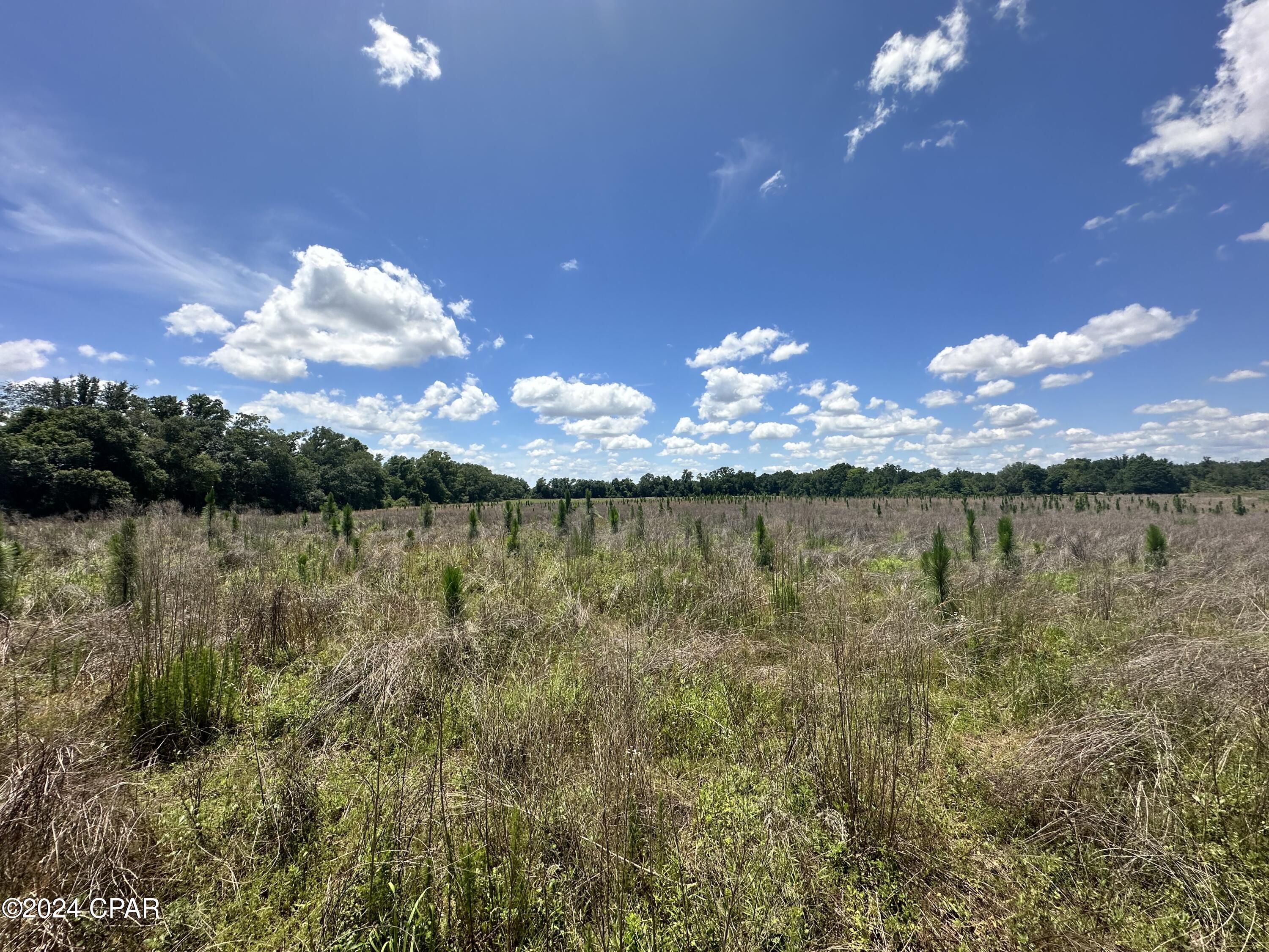 Photo of 0 Welcome Church Sneads FL 32460