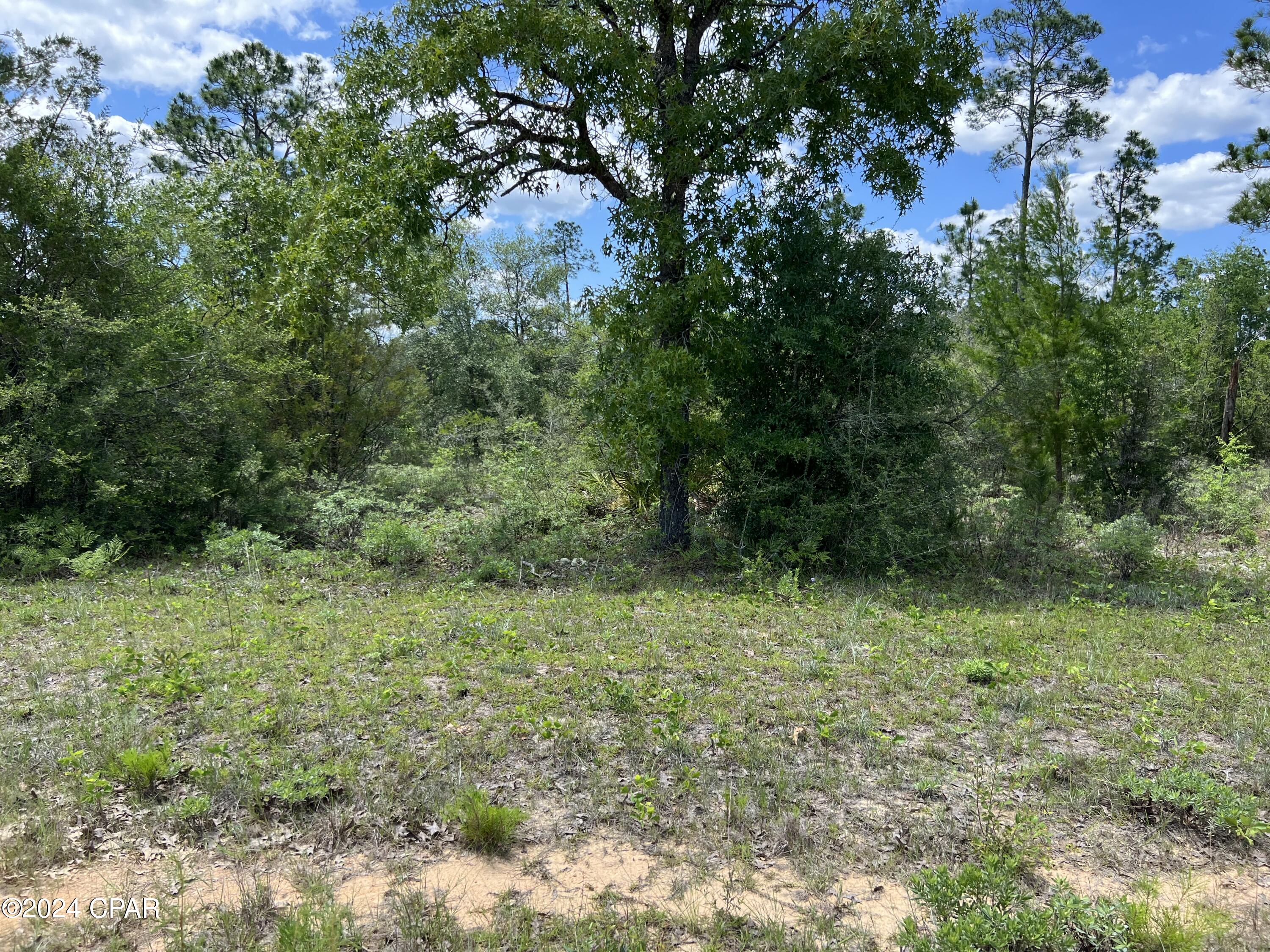 Photo of Lot 6 Cleveland Alford FL 32420