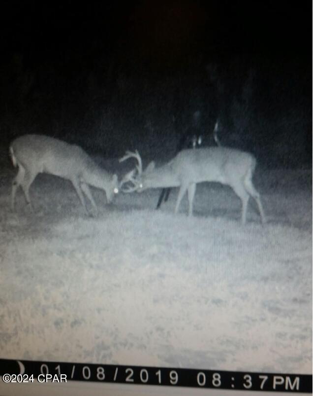 Image 15 For 87ac Hwy 179