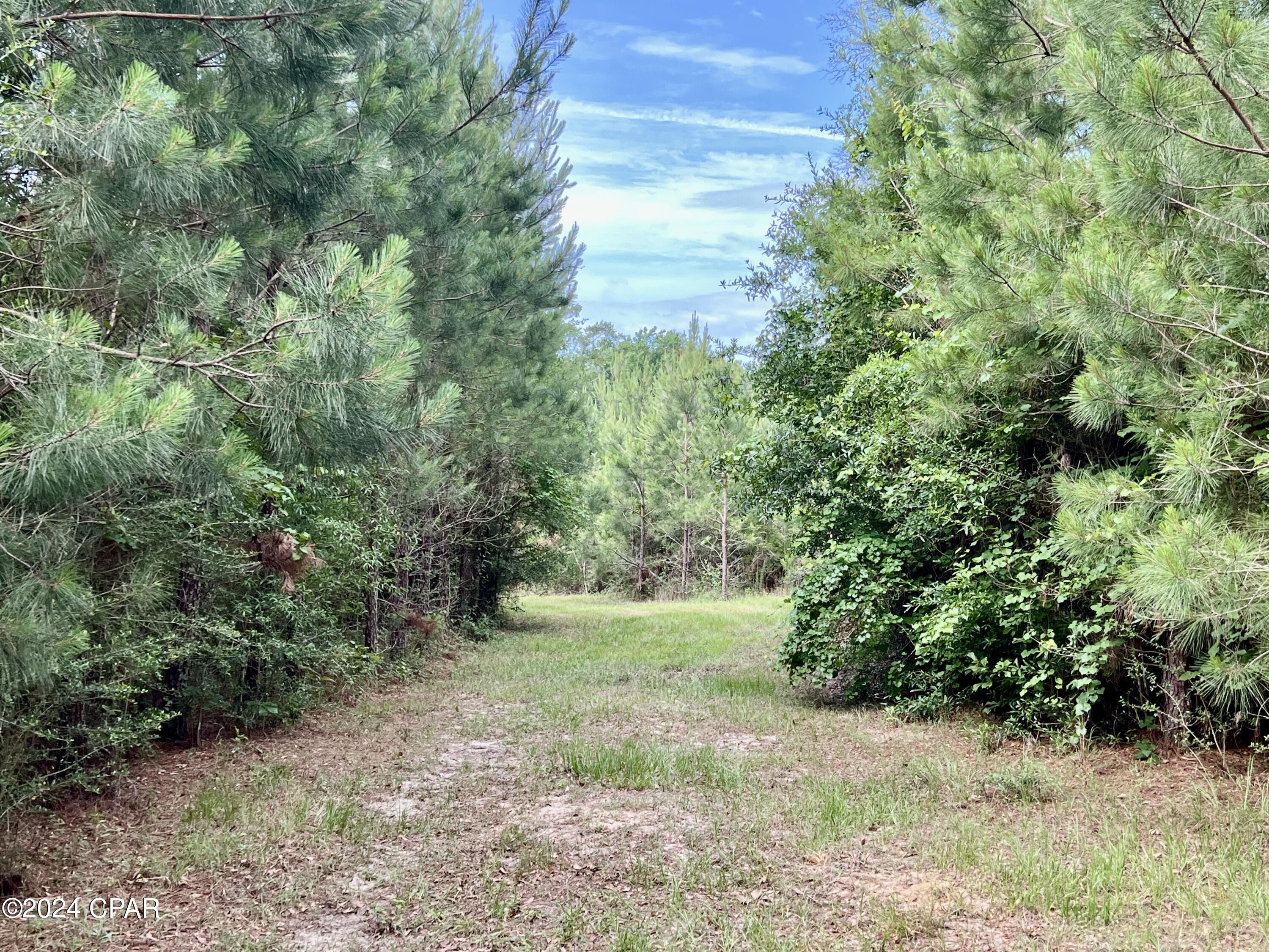 Image 28 For 87ac Hwy 179