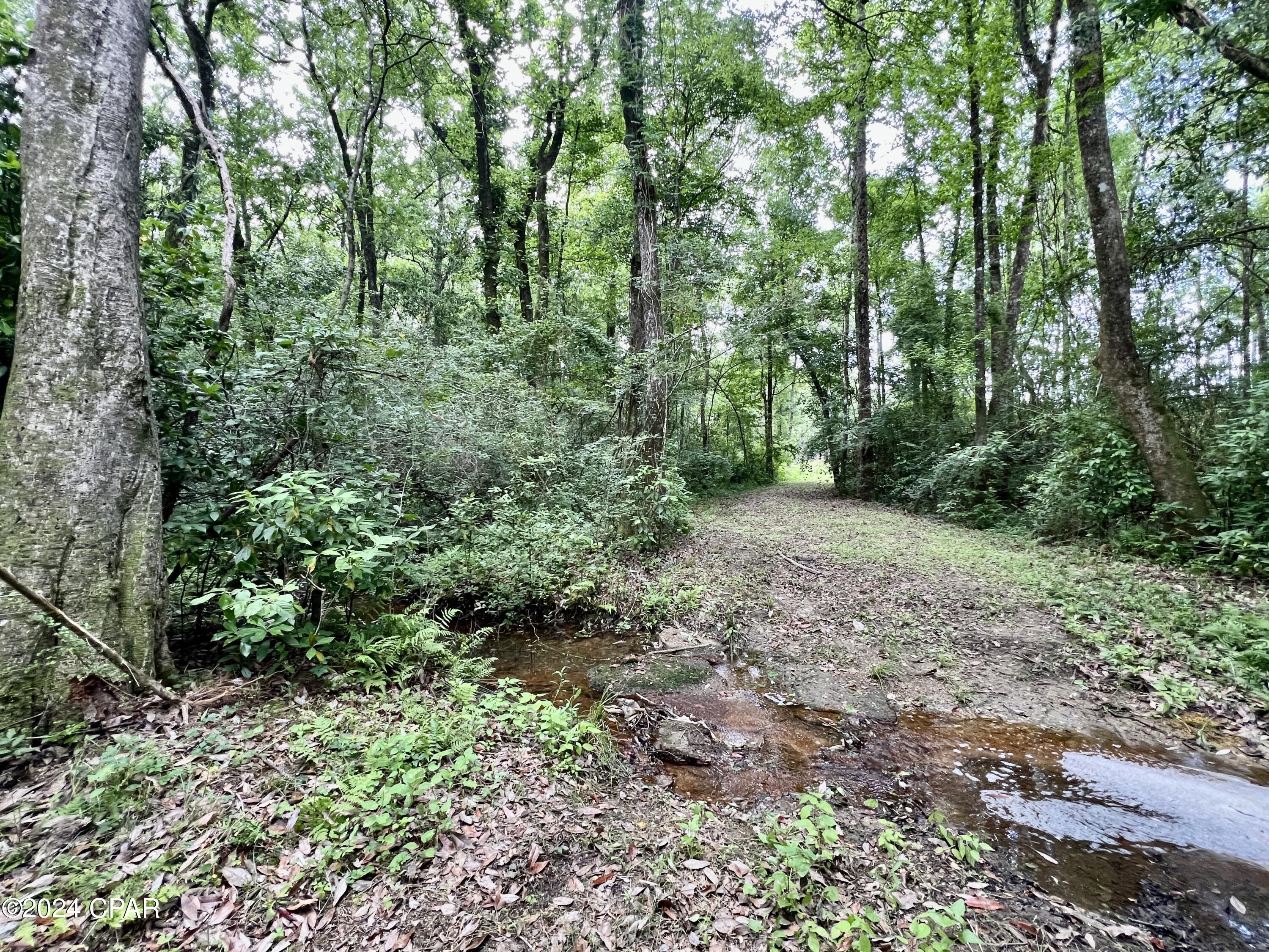 Image 4 For 87ac Hwy 179