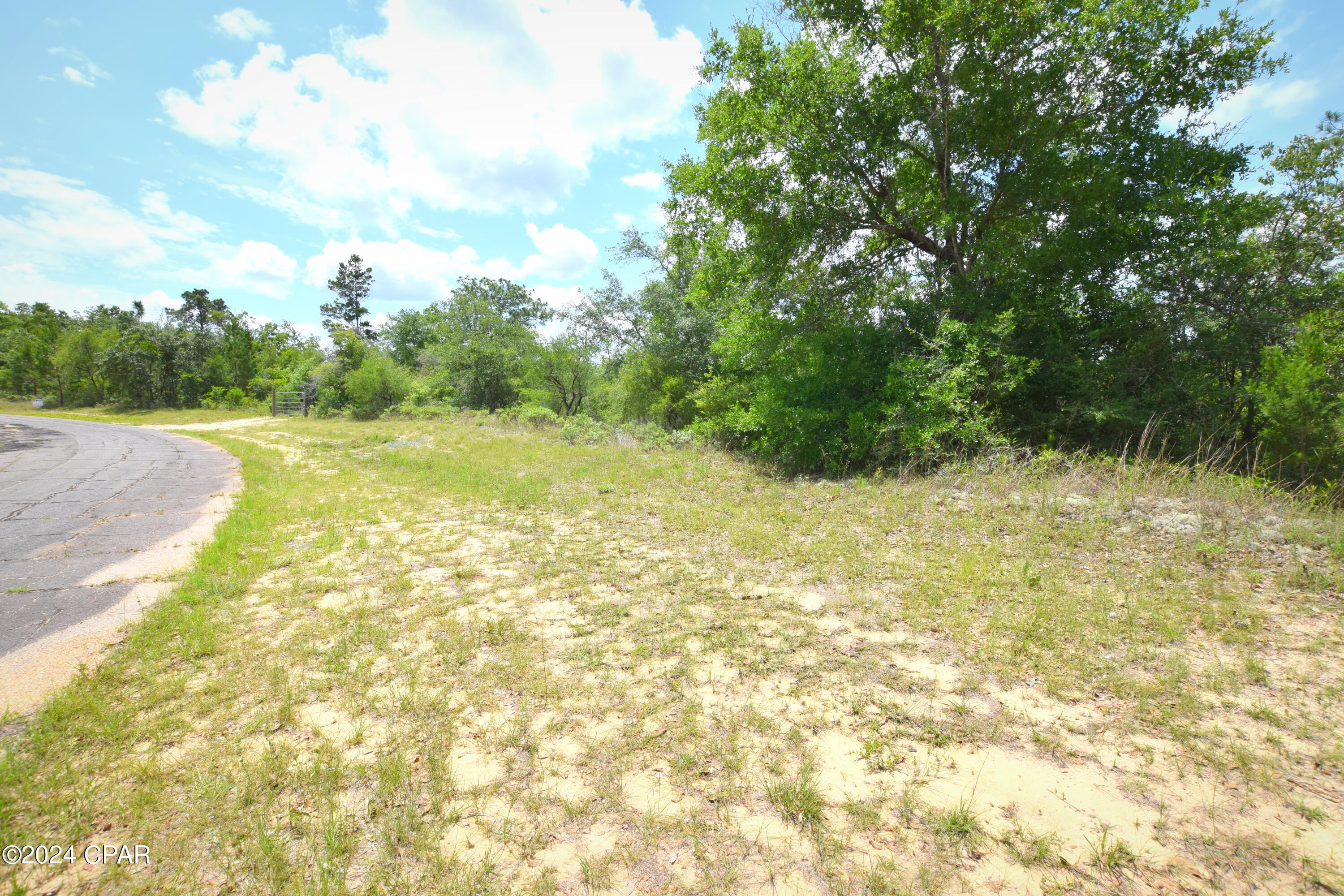 Photo of TBD Lot 40 Bluestone Chipley FL 32428