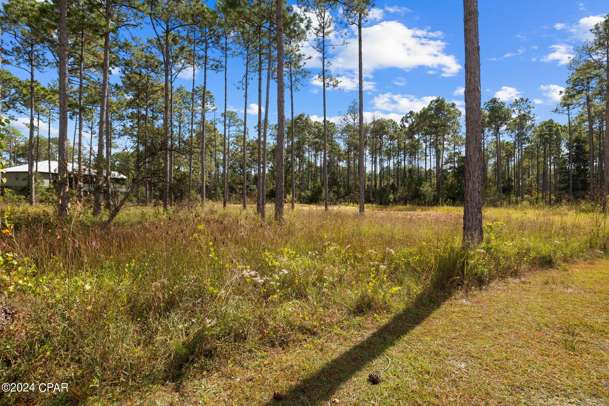 Image 17 For 7644 Coastal Hammock Trail