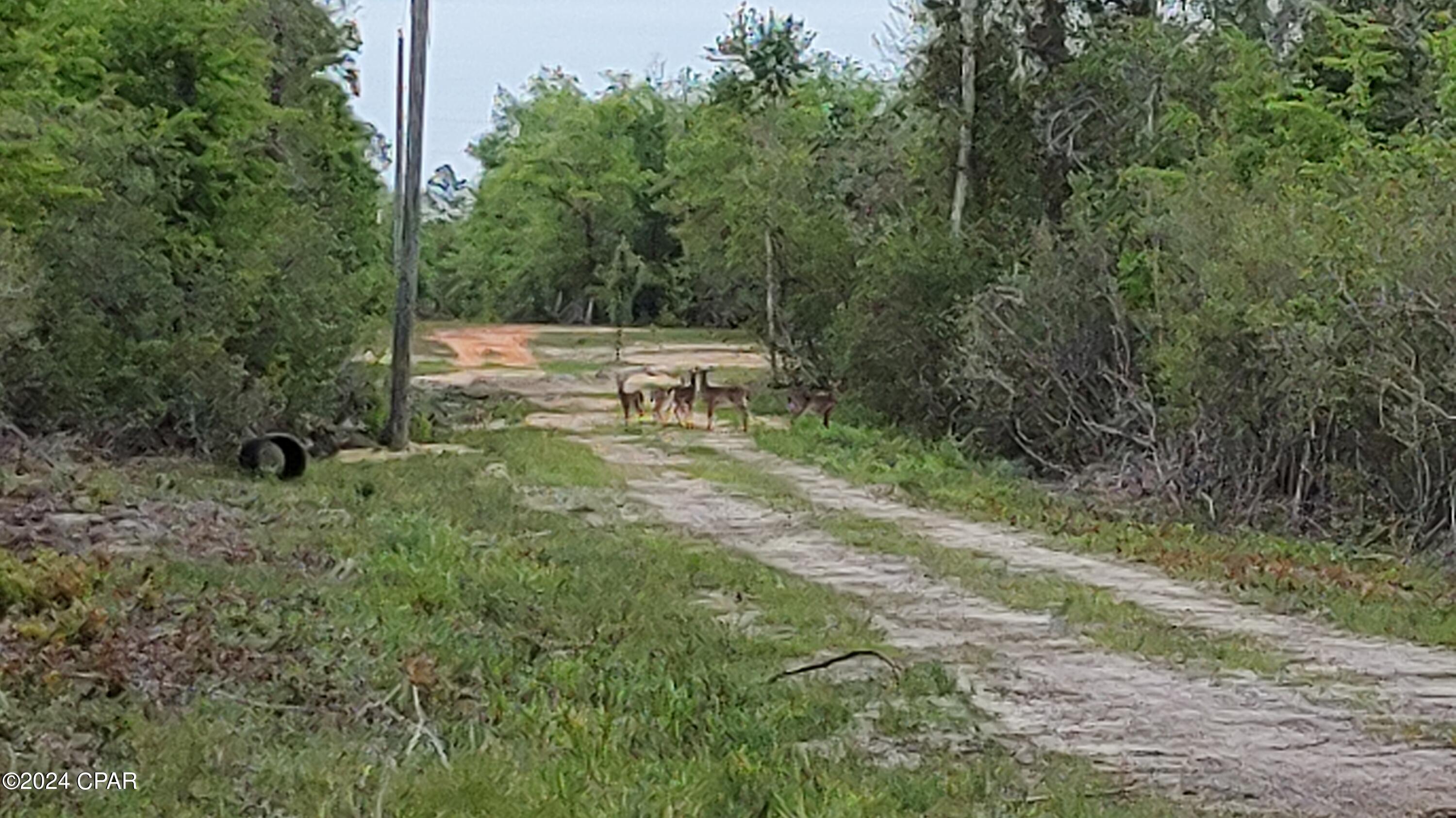 Photo of 00 Olivia Fountain FL 32438