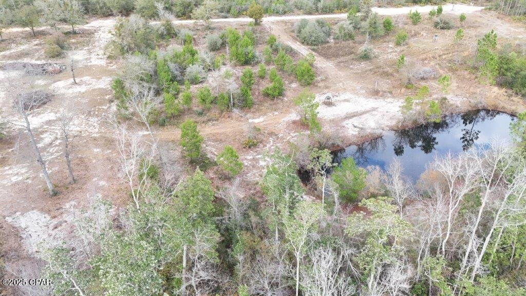 00 Olivia Avenue, Fountain, Florida image 35