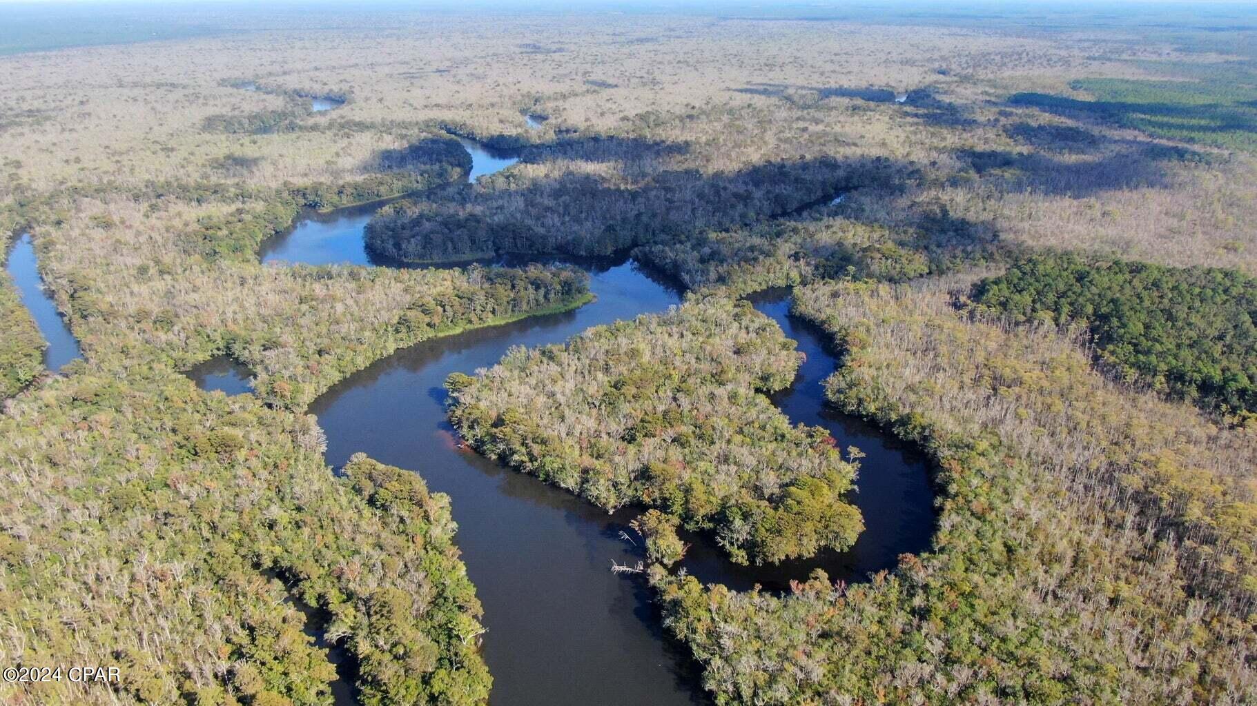 Photo of 40 ACRES Bunker Creek Area Vernon FL 32462