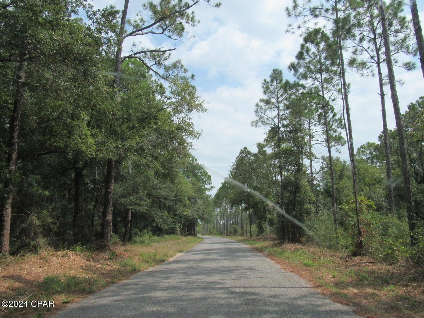 Image 3 For 40 Acres Bunker Creek Area