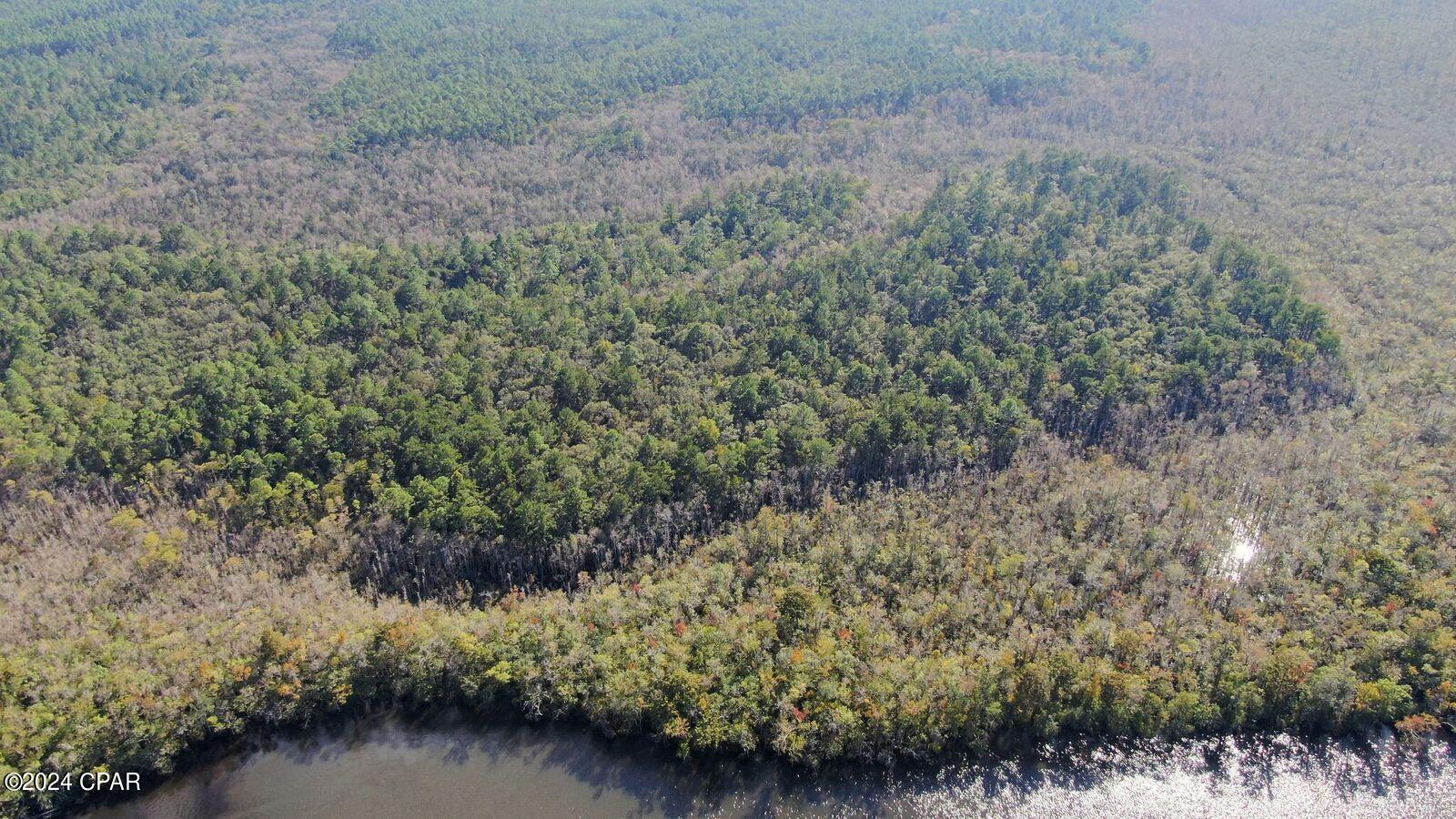 Image 8 For 40 Acres Bunker Creek Area