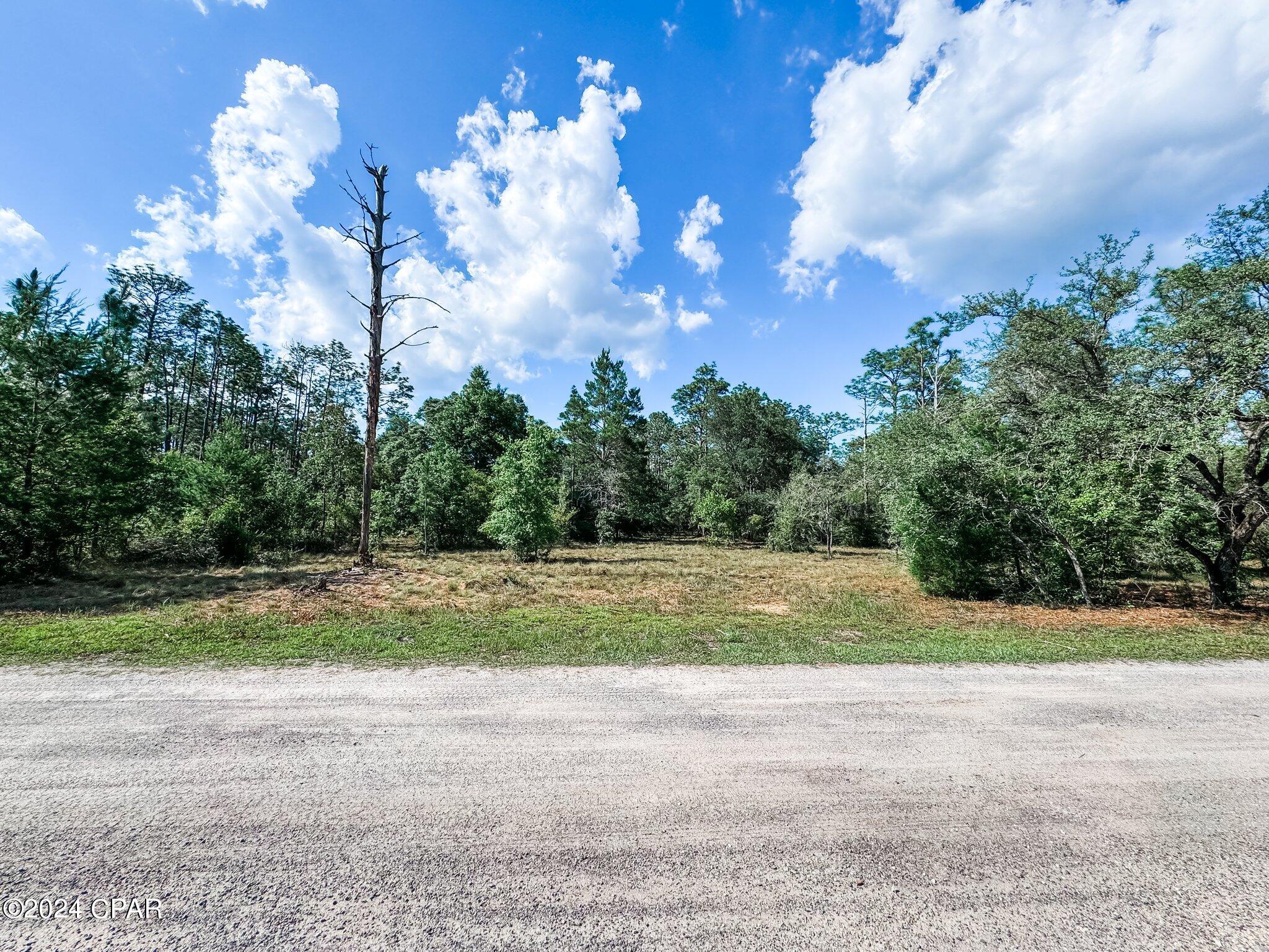 Image 11 For Lot B265 Turkey Run Road