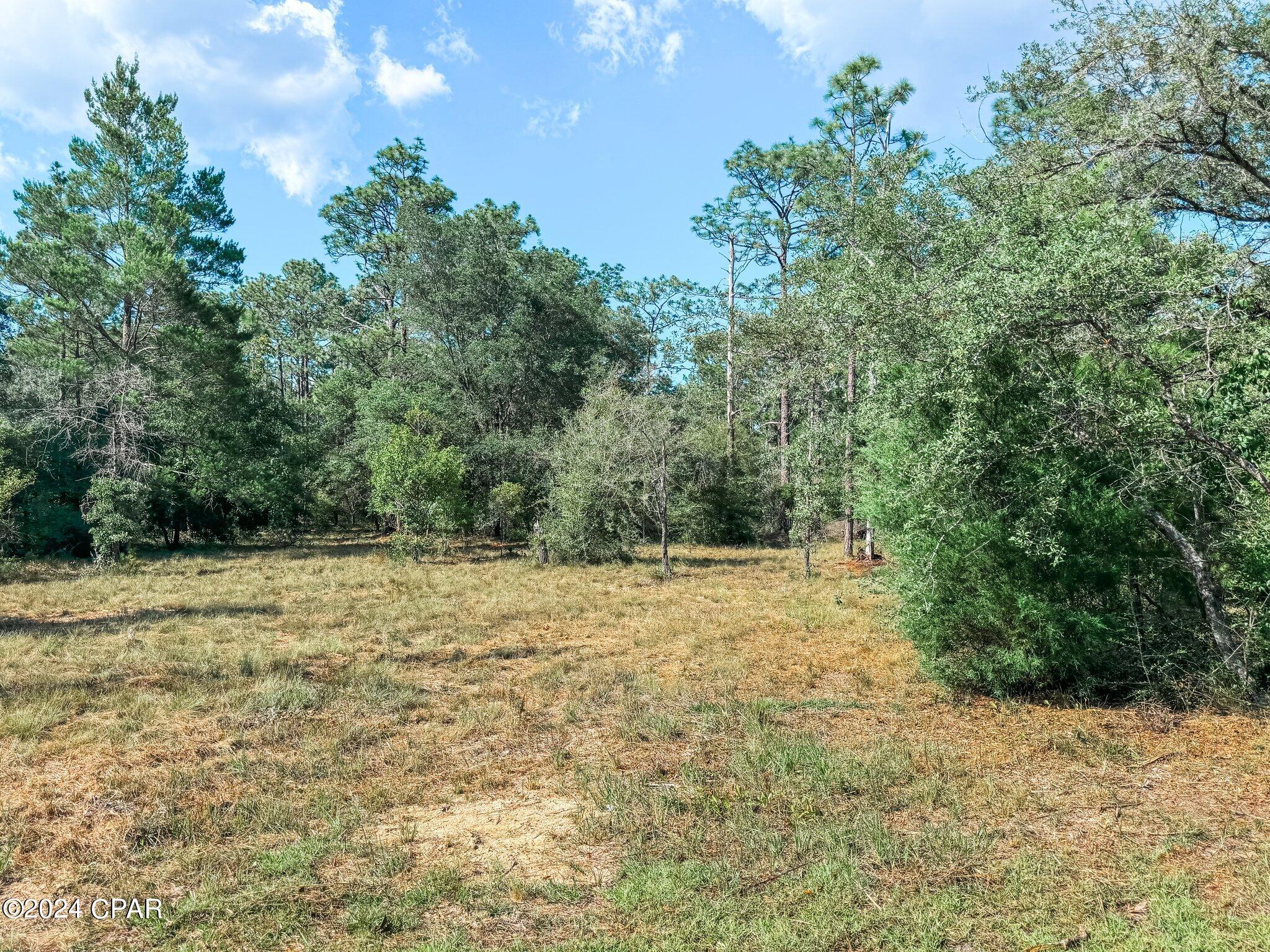 Image 12 For Lot B265 Turkey Run Road