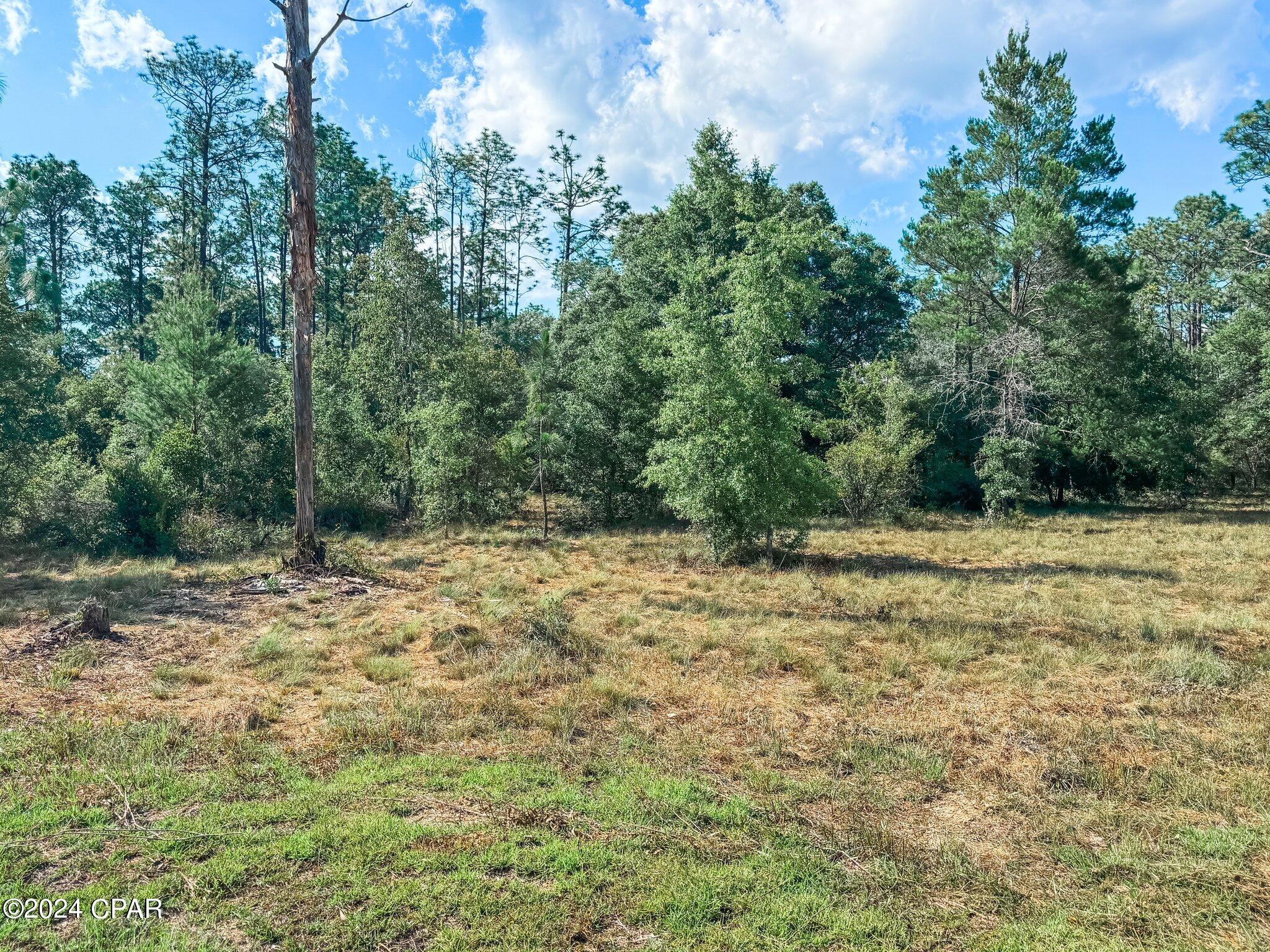 Image 15 For Lot B265 Turkey Run Road