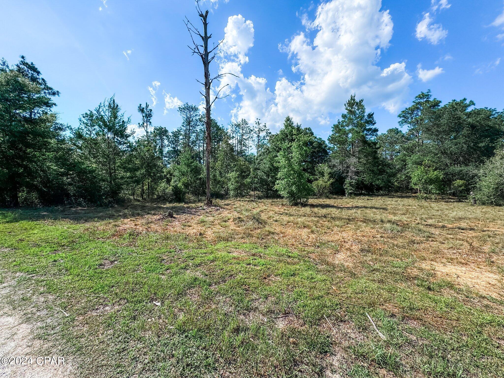 Image 16 For Lot B265 Turkey Run Road