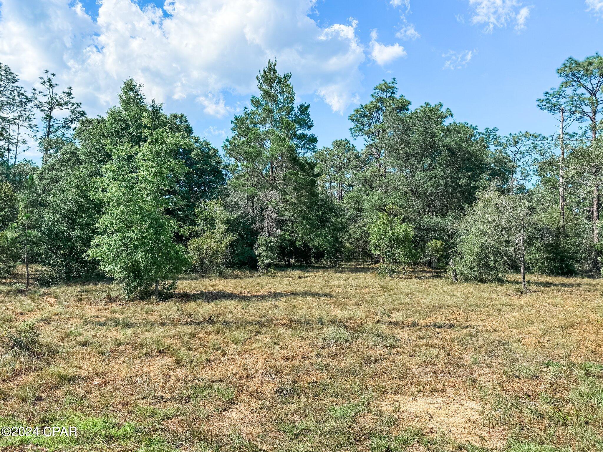 Image 19 For Lot B265 Turkey Run Road