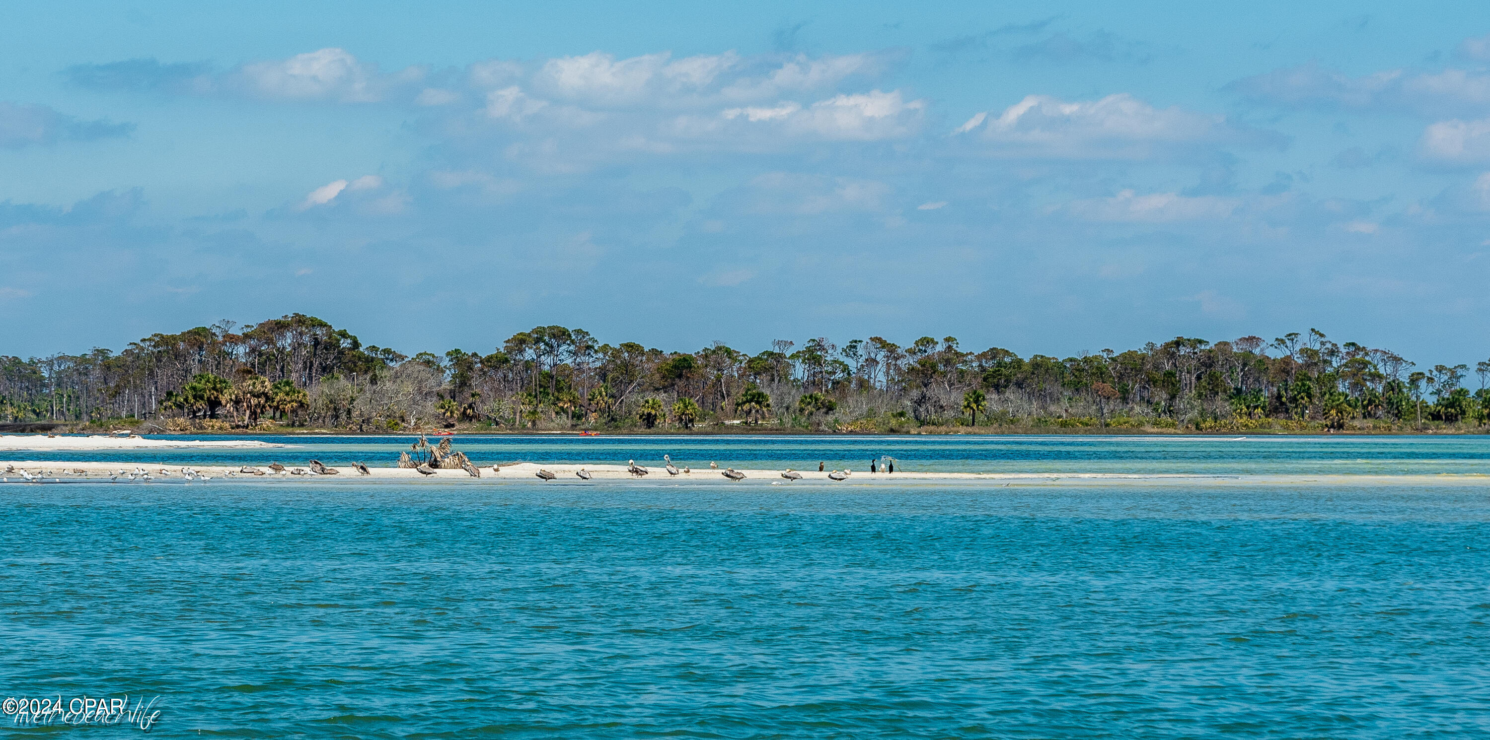 Image 84 For 110 Seagrass Circle