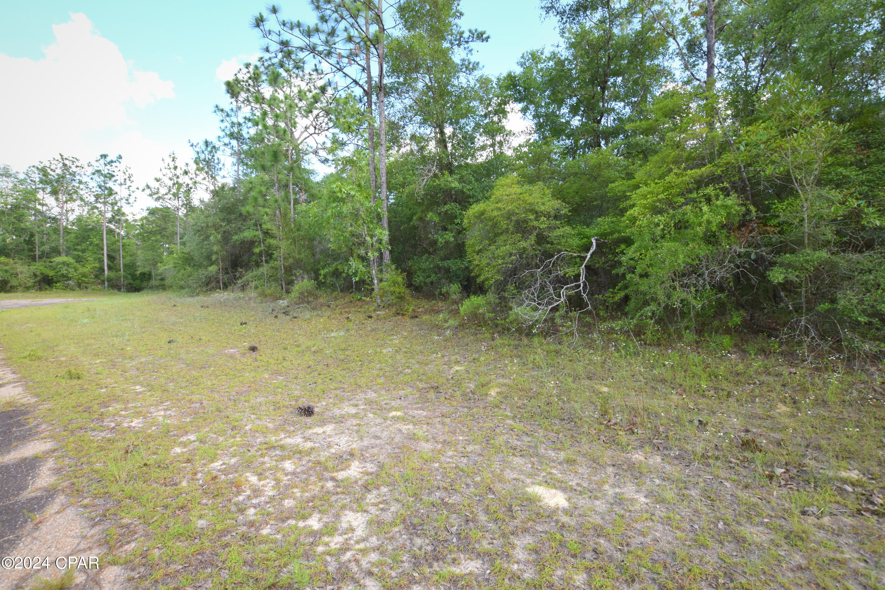 Photo of Lot 8 Conway Chipley FL 32428